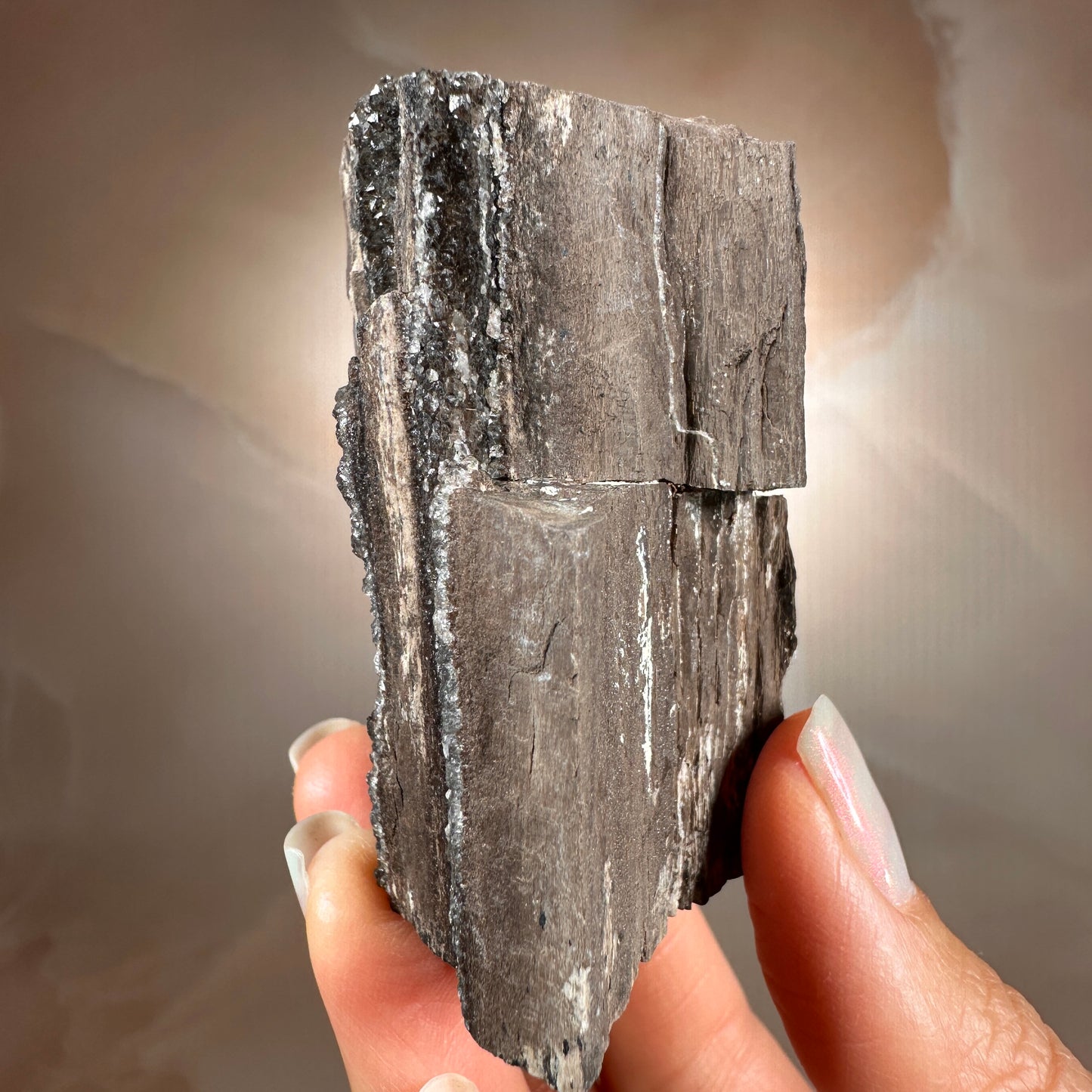 Crystallized Fossil Wood with Smoky Quartz Druzy, 102g | Arizona