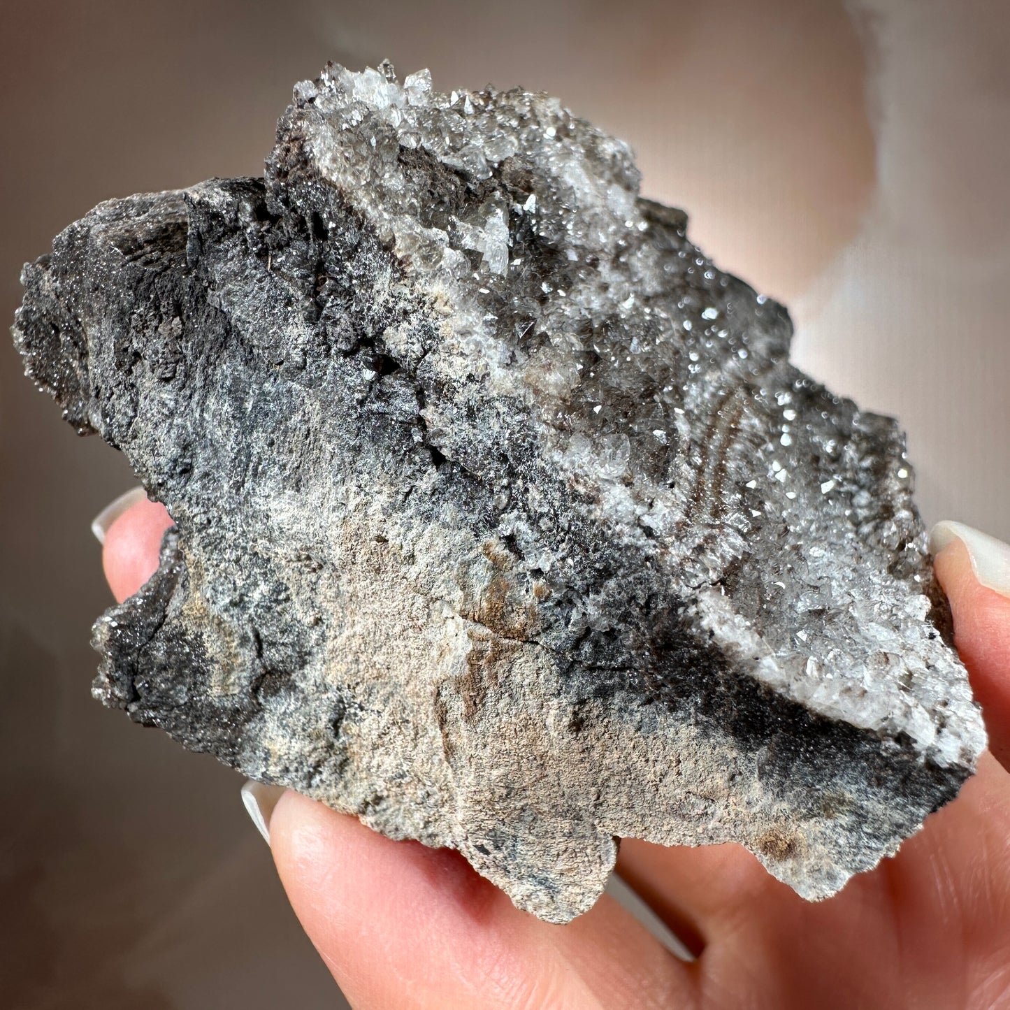 Crystallized Fossil Wood with Smoky Quartz Druzy, 335g | Arizona