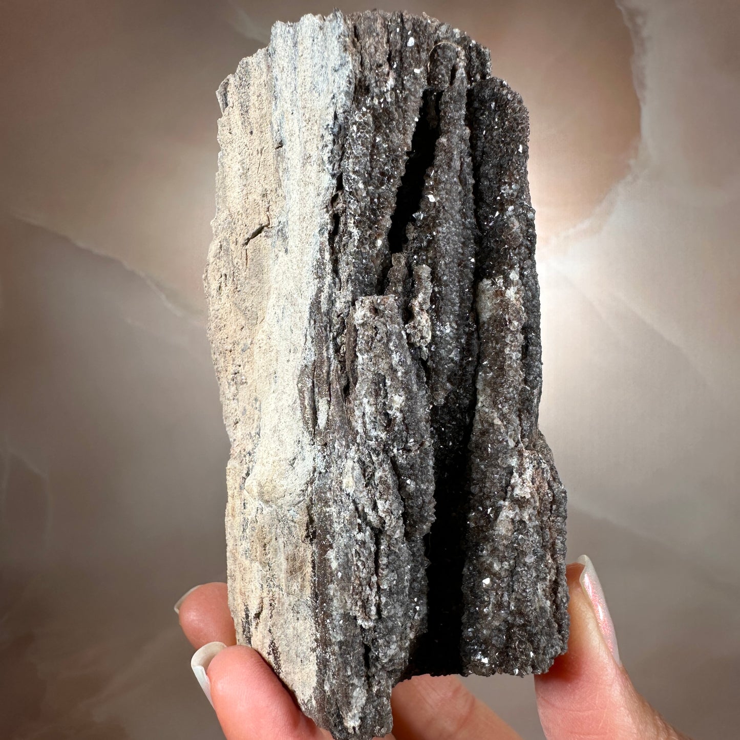 Crystallized Fossil Wood with Smoky Quartz Druzy, 335g | Arizona