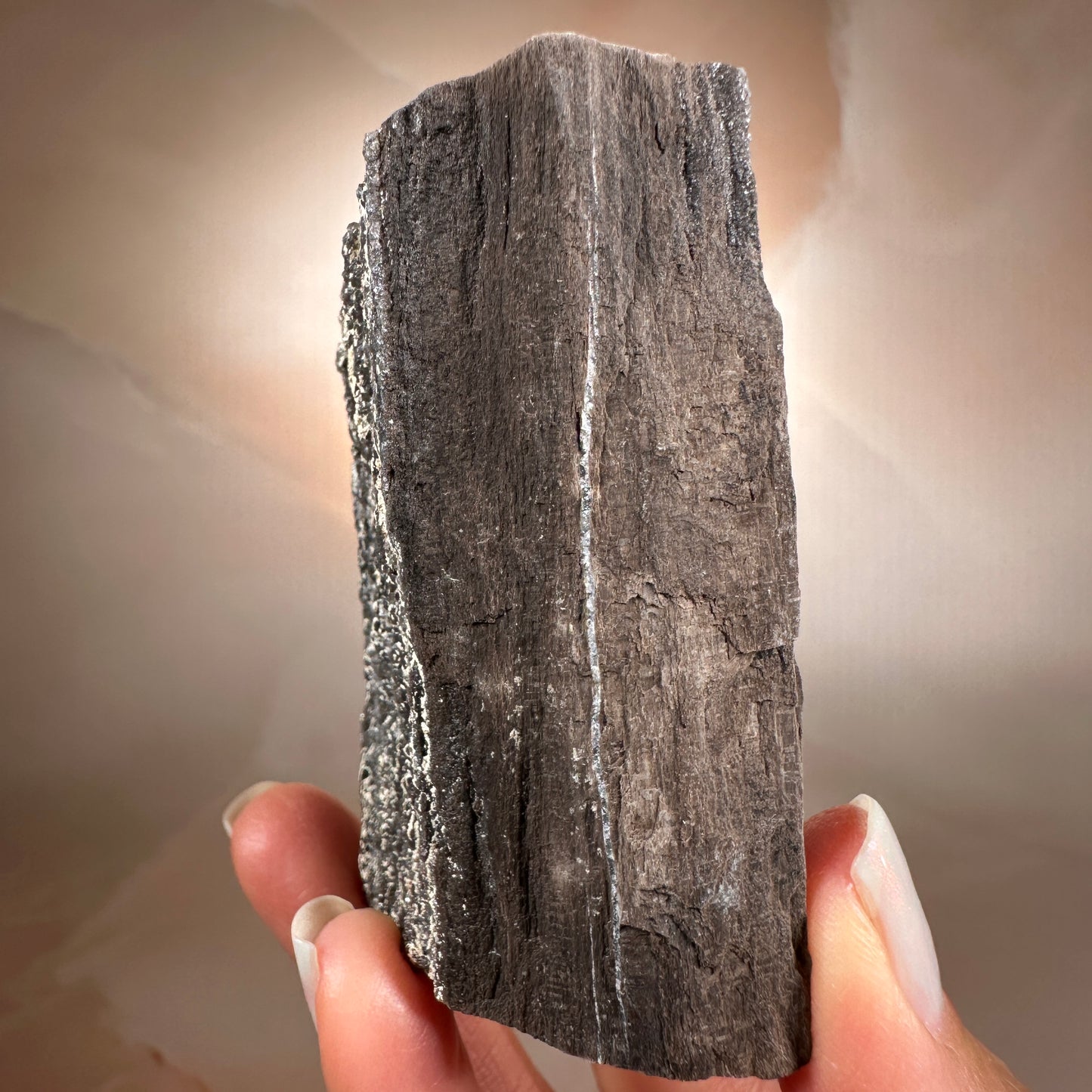 Crystallized Fossil Wood with Smoky Quartz Druzy, 135g | Arizona