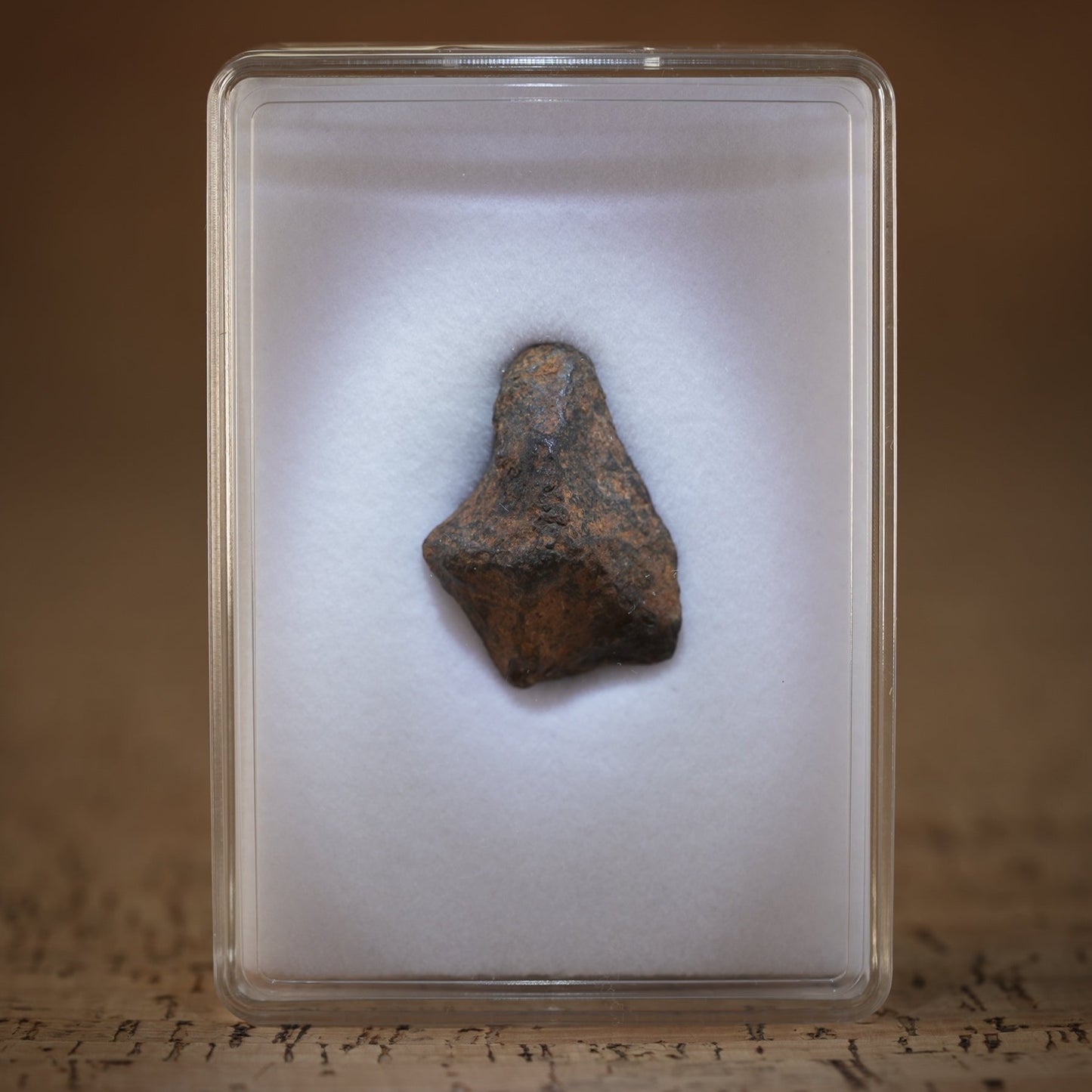 Gibeon Iron Meteorite for sale.