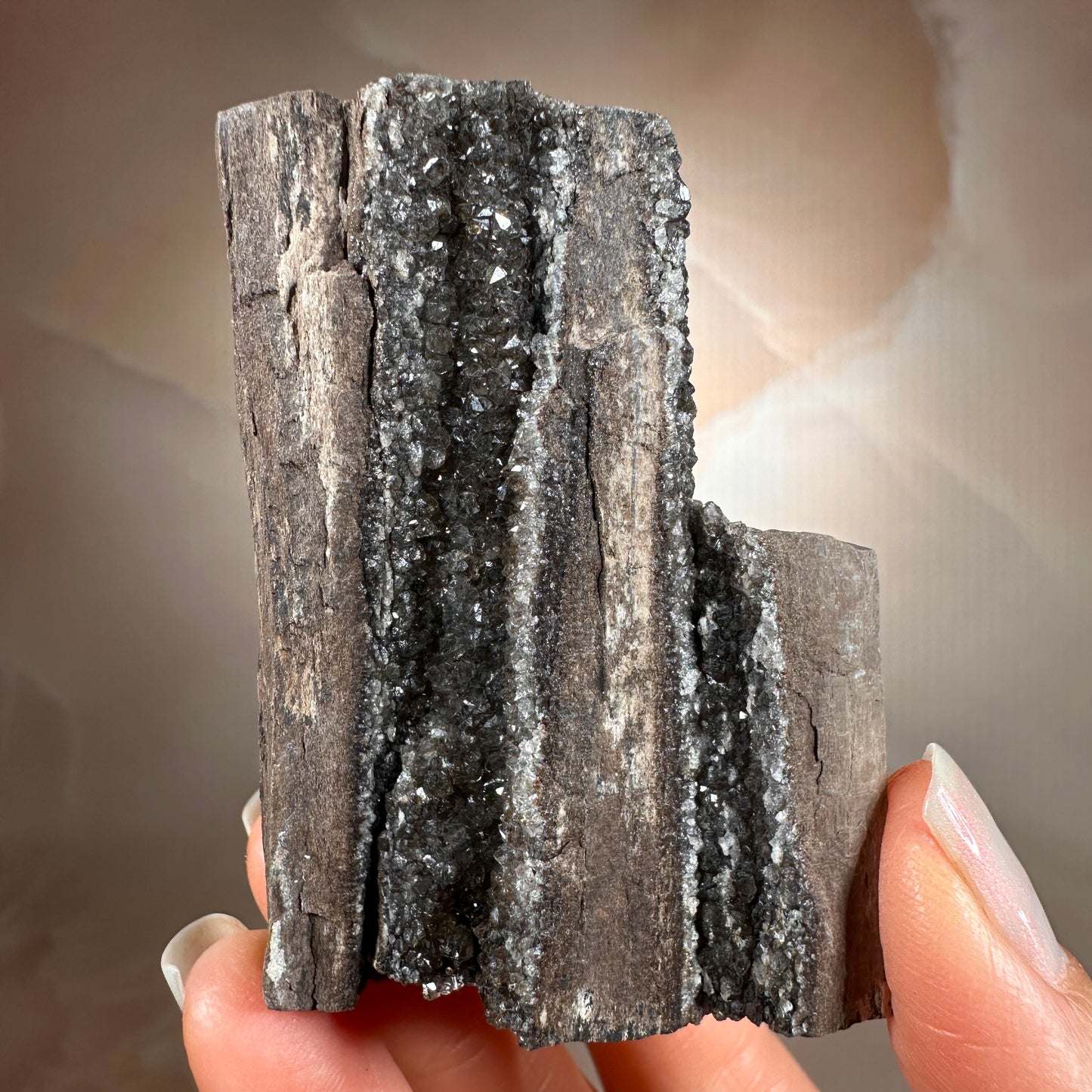 Crystallized Fossil Wood with Smoky Quartz Druzy, 102g | Arizona