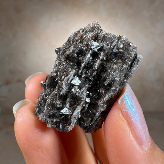 Crystallized Fossil Wood with Smoky Quartz, 16g | Arizona
