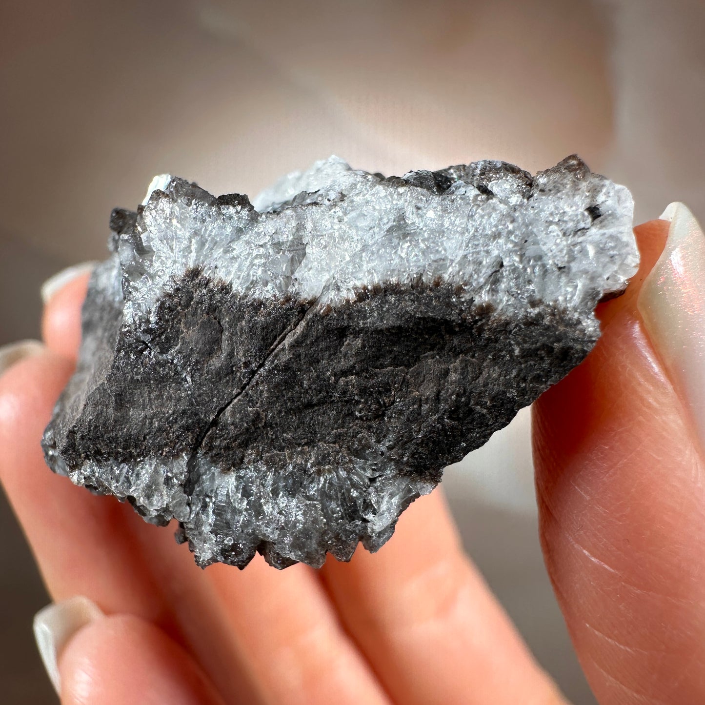 Crystallized Fossil Wood with Smoky Quartz Druzy, 42g | Arizona