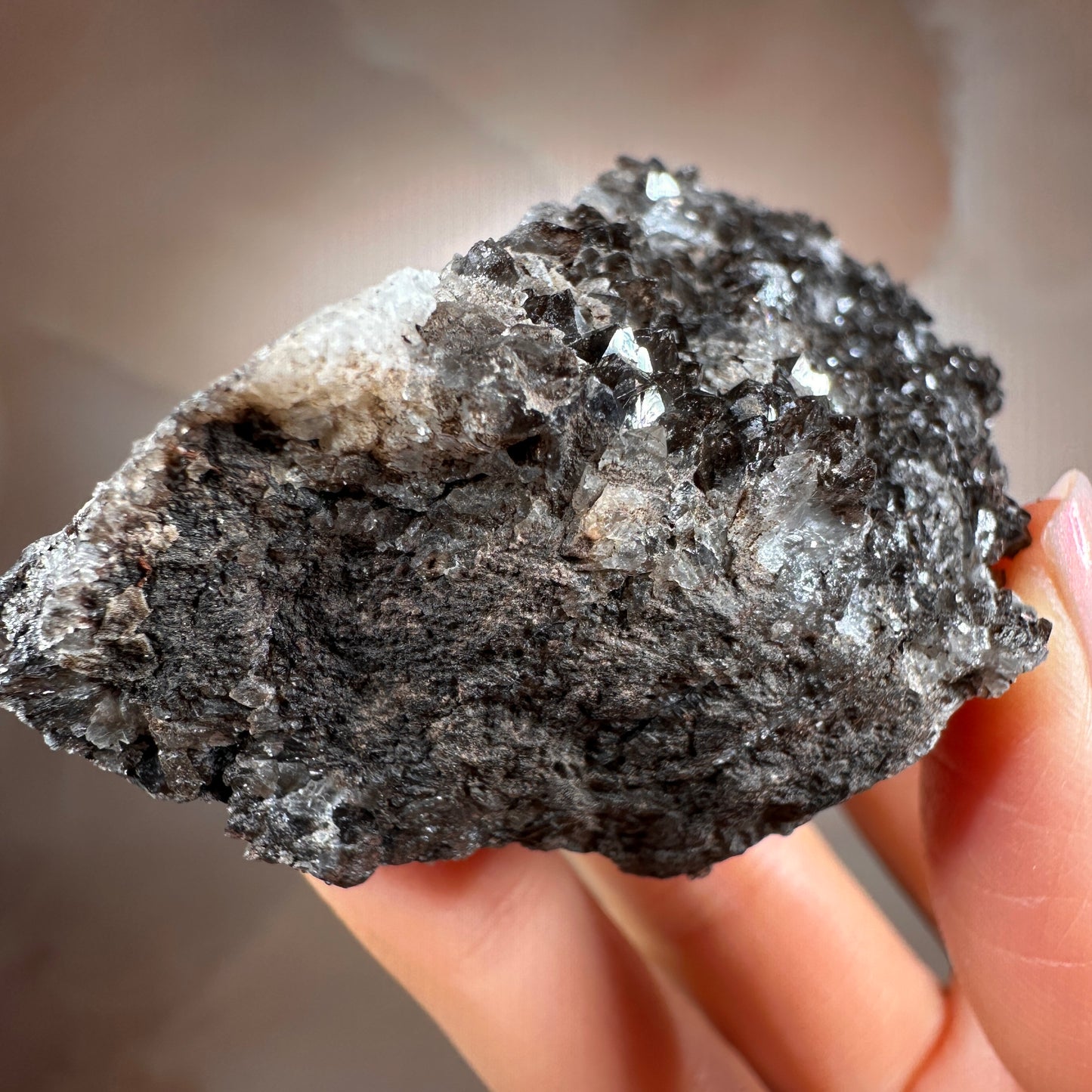 Crystallized Fossil Wood with Smoky Quartz Druzy, 117g — Arizona