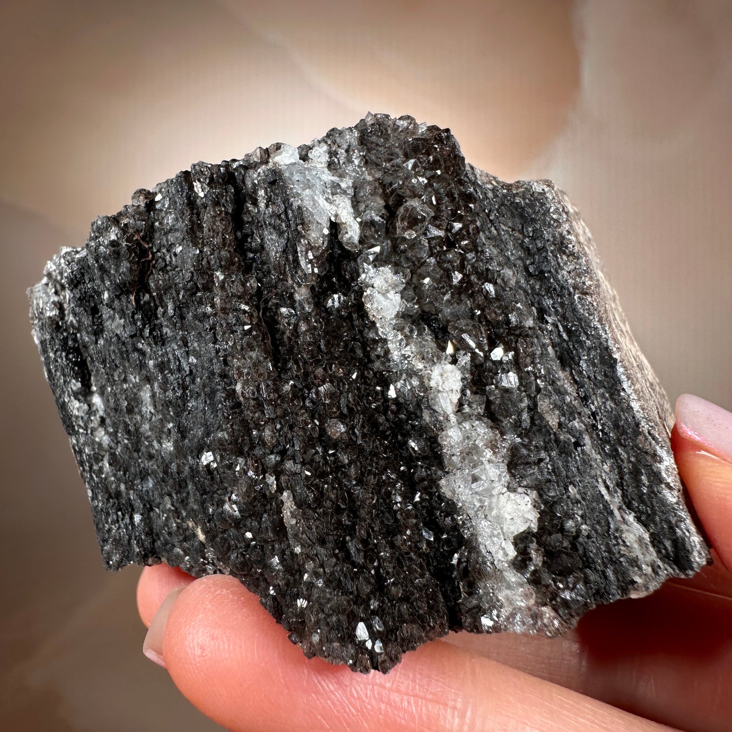 Crystallized Fossil Wood with Smoky Quartz Druzy, 154g — Arizona