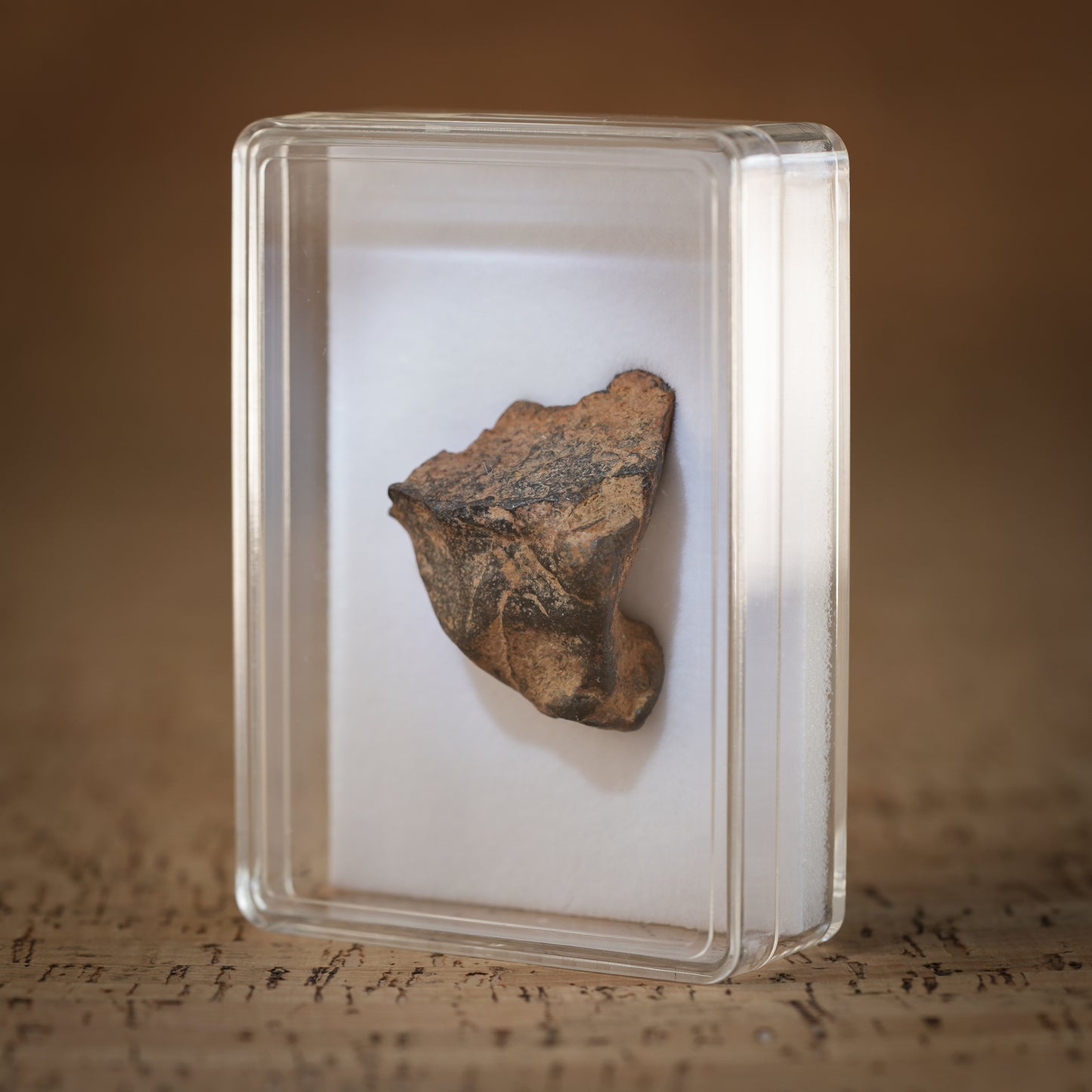 43.3g Gibeon Meteorite with Desert Patina, Namibia, Africa. Includes Collectors Display Box with COA.