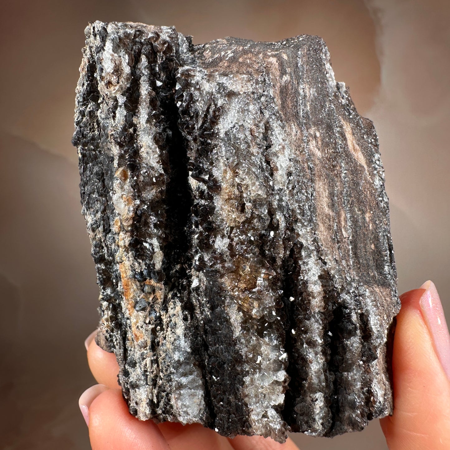 Crystallized Fossil Wood with Smoky Quartz Druzy, 383g — Arizona