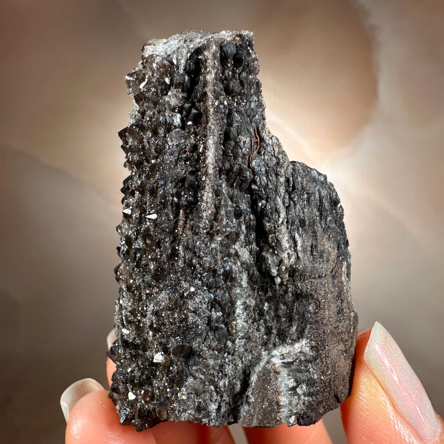 Crystallized Fossil Wood with Smoky Quartz Druzy, 58g | Arizona