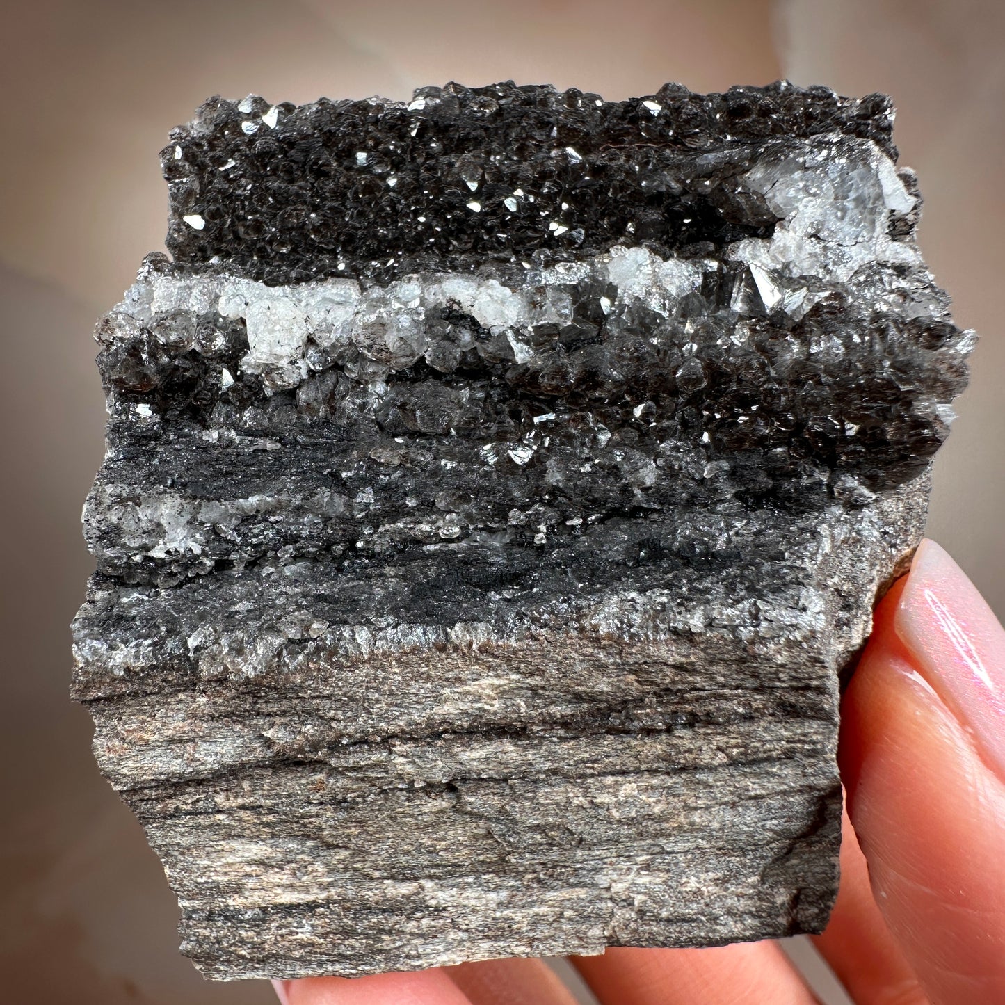 Crystallized Fossil Wood with Smoky Quartz Druzy, 154g — Arizona