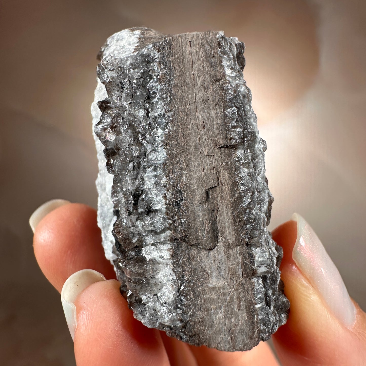 Crystallized Fossil Wood with Smoky Quartz Druzy, 42g | Arizona