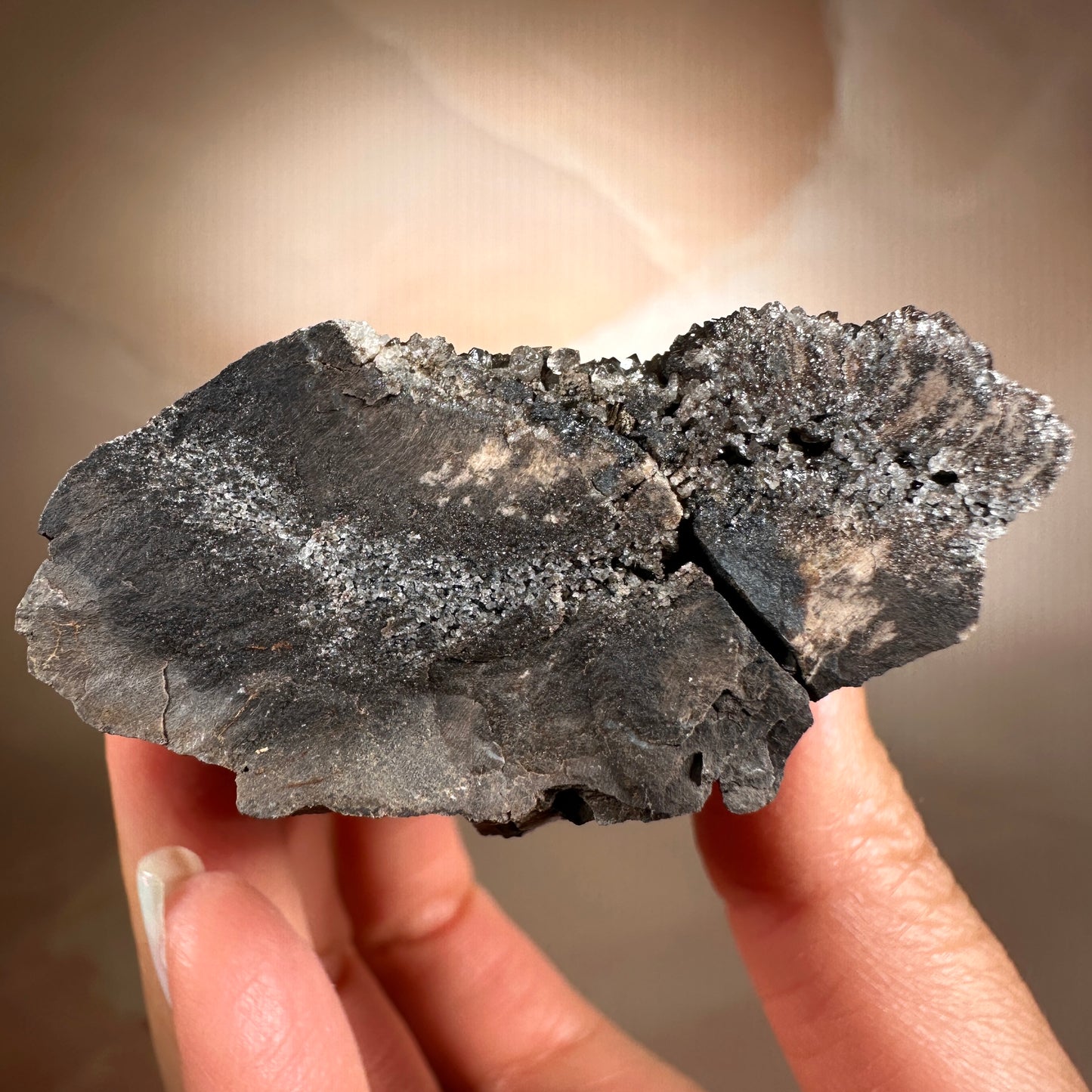 Crystallized Fossil Wood with Smoky Quartz Druzy, 177g | Arizona