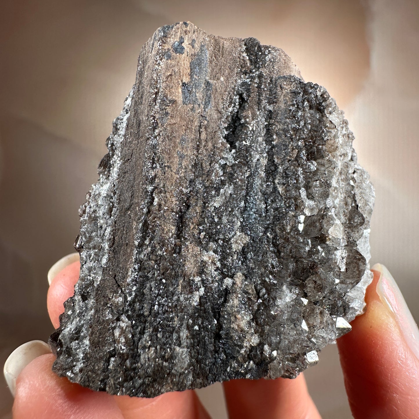 Crystallized Fossil Wood with Smoky Quartz Druzy, 65g | Arizona