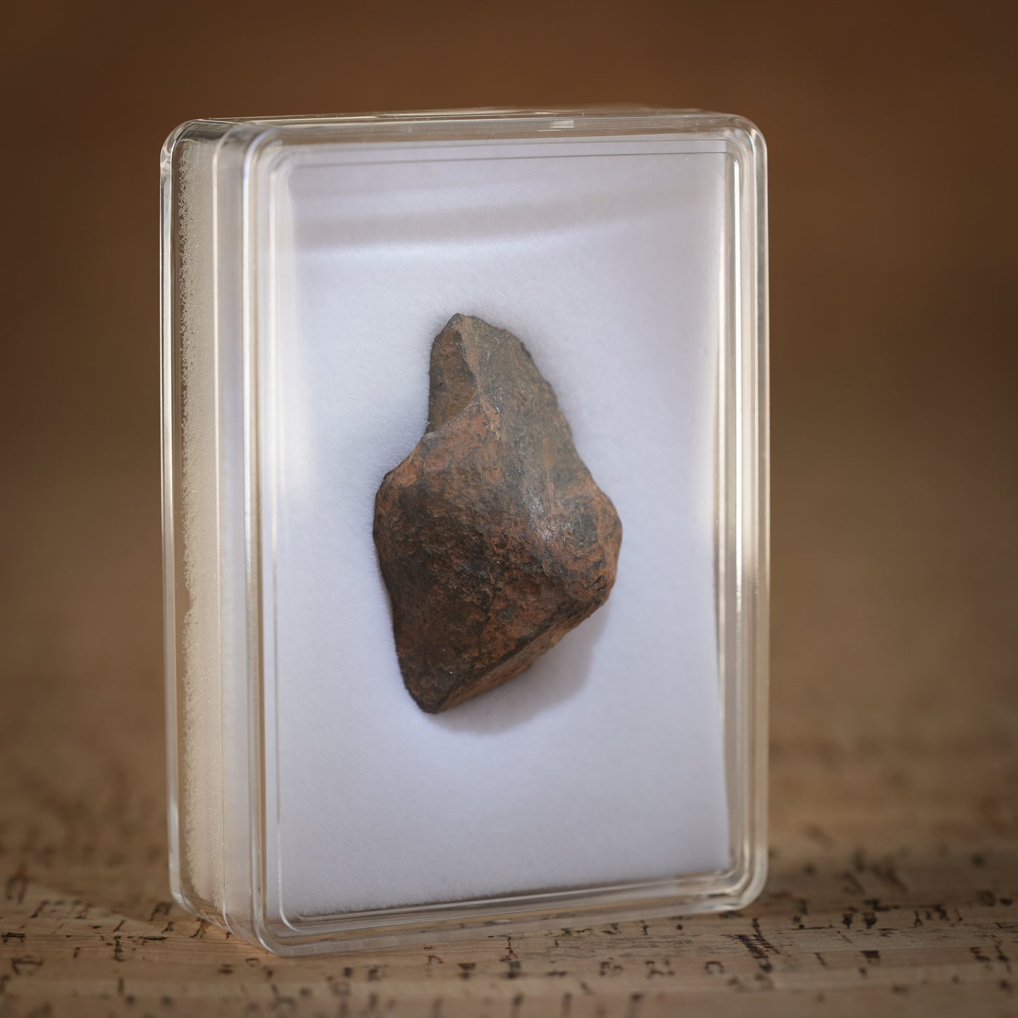 36.6g Gibeon Meteorite with Desert Patina, Namibia, Africa. Includes Collectors Display Box with COA.