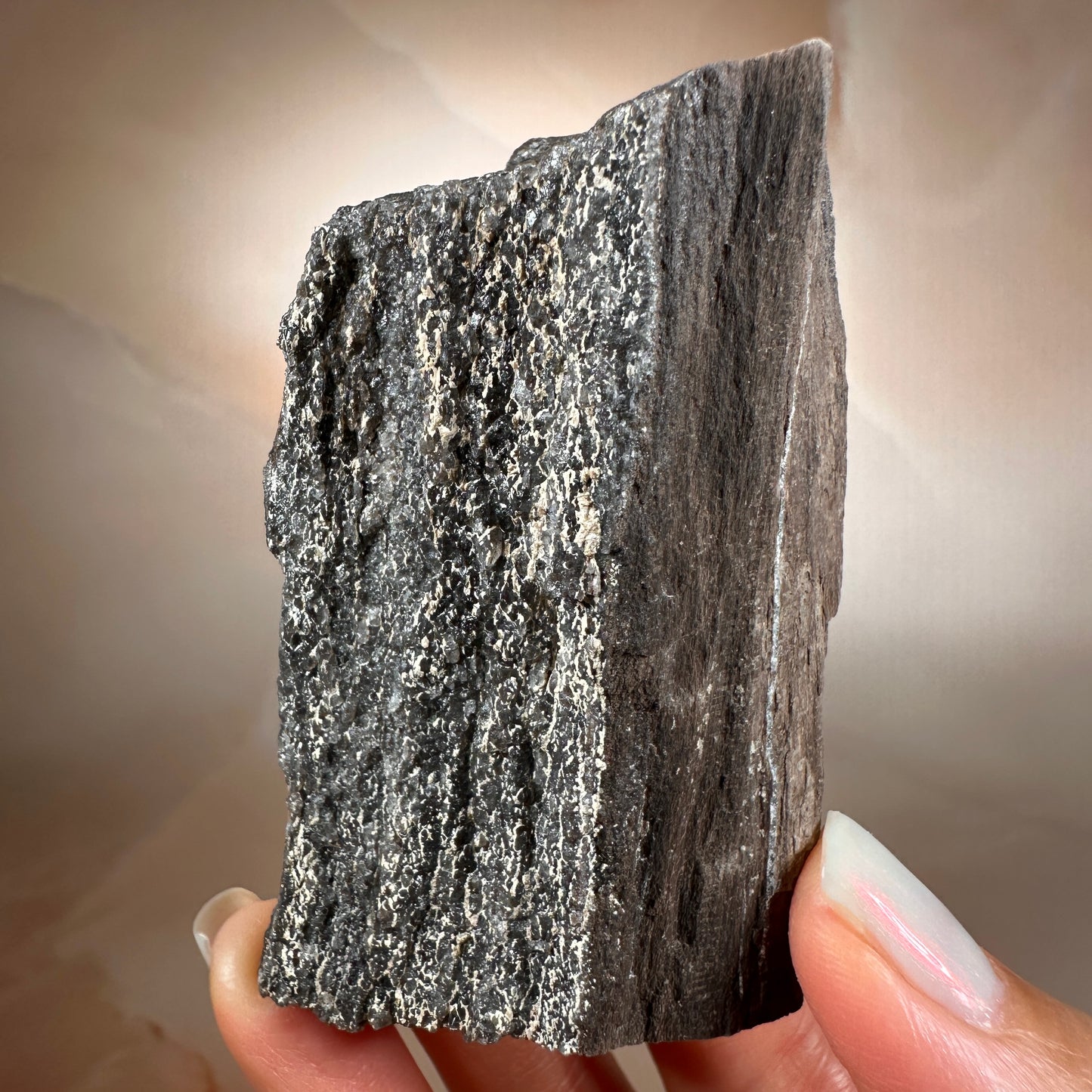 Crystallized Fossil Wood with Smoky Quartz Druzy, 135g | Arizona