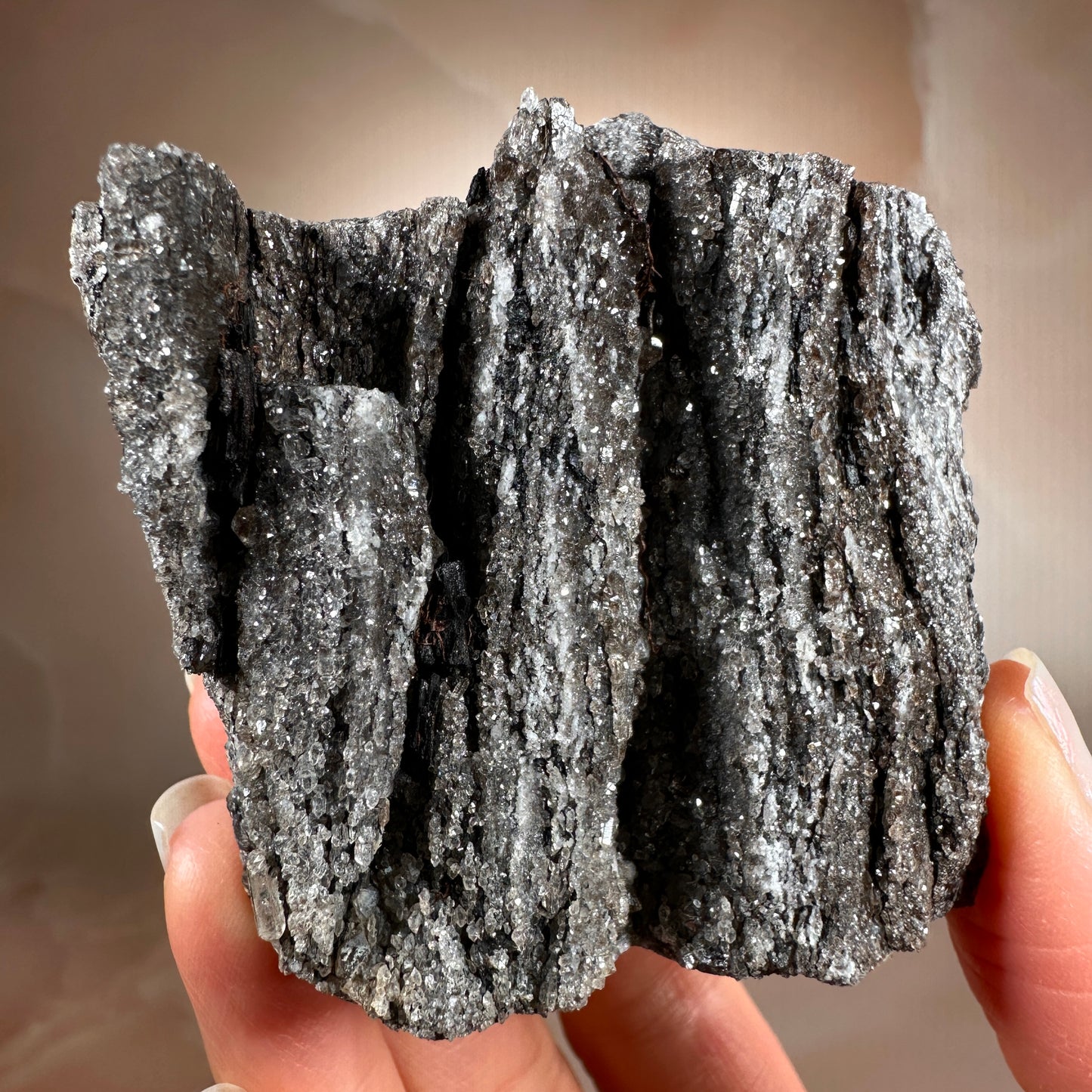 Crystallized Fossil Wood with Smoky Quartz Druzy, 185g | Arizona