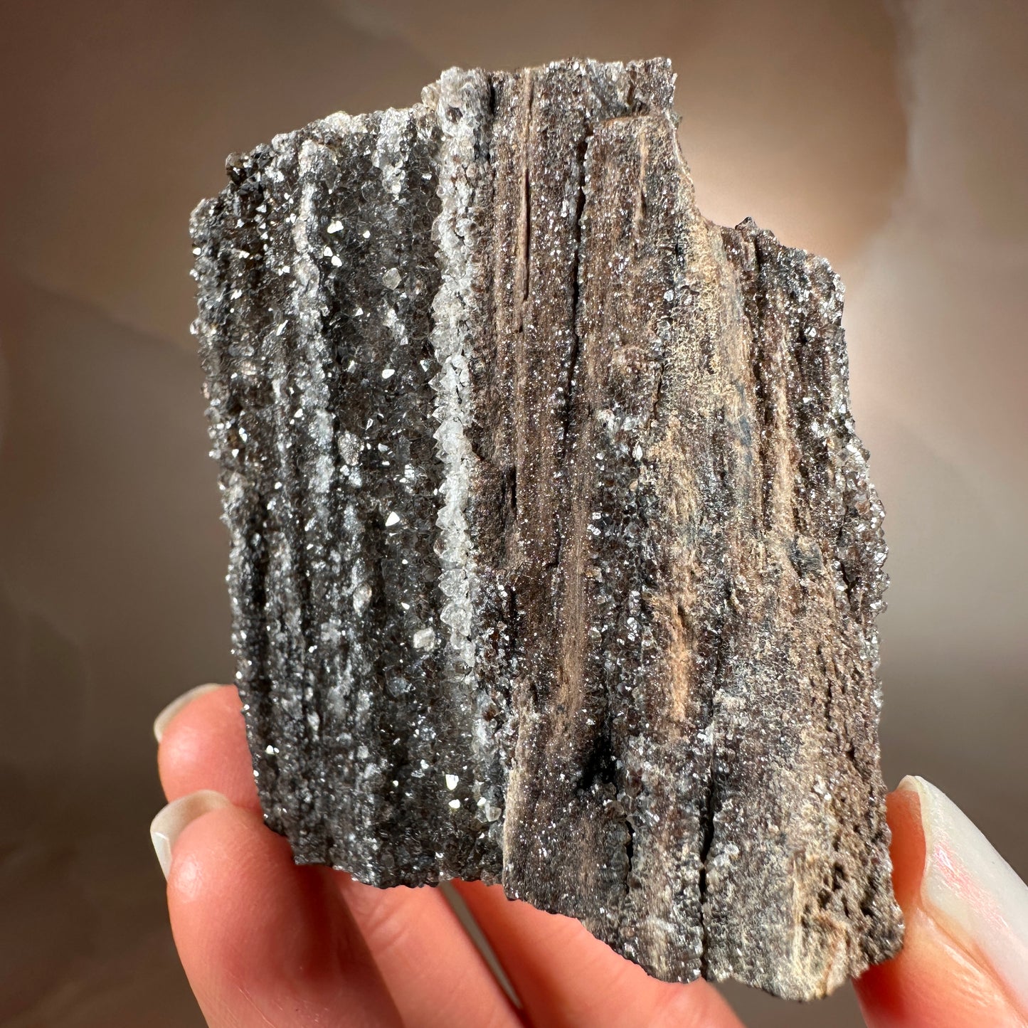 Crystallized Fossil Wood with Smoky Quartz Druzy, 86g | Arizona