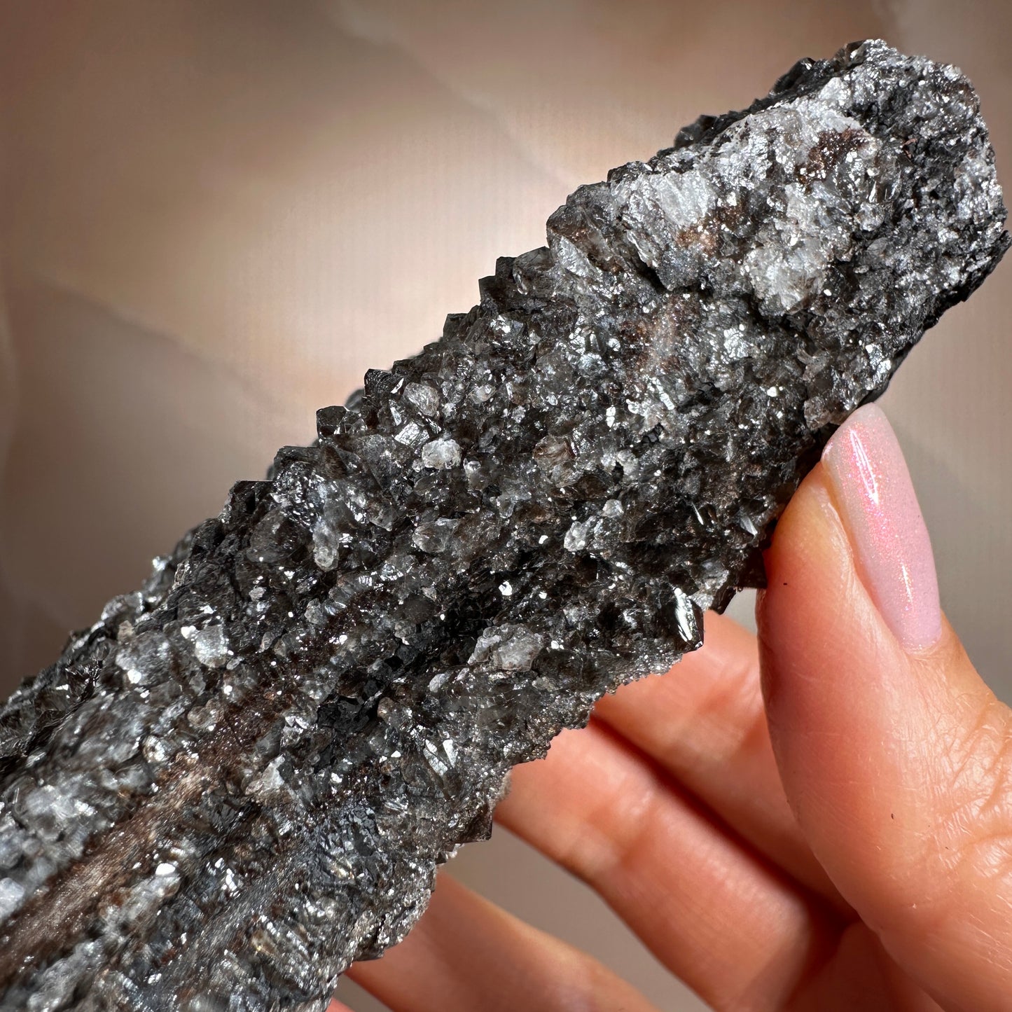 Crystallized Fossil Wood with Smoky Quartz Druzy, 268g — Arizona