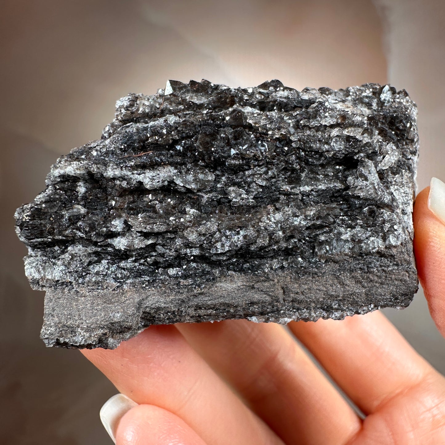 Crystallized Fossil Wood with Smoky Quartz Druzy, 85g | Arizona