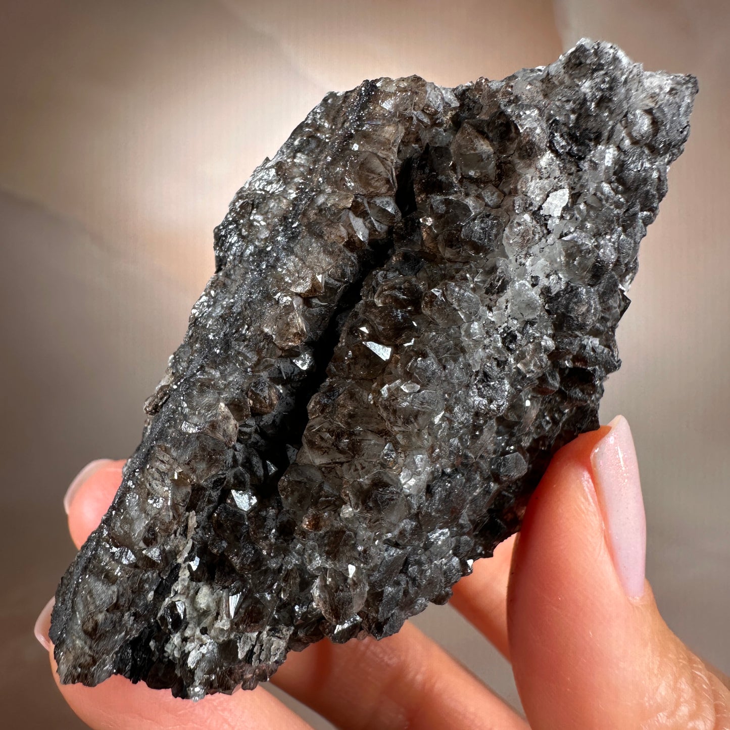 Crystallized Fossil Wood with Smoky Quartz Druzy, 137g — Arizona