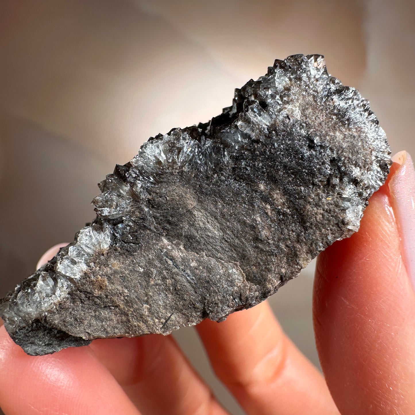 Crystallized Fossil Wood with Smoky Quartz Druzy, 44g — Arizona