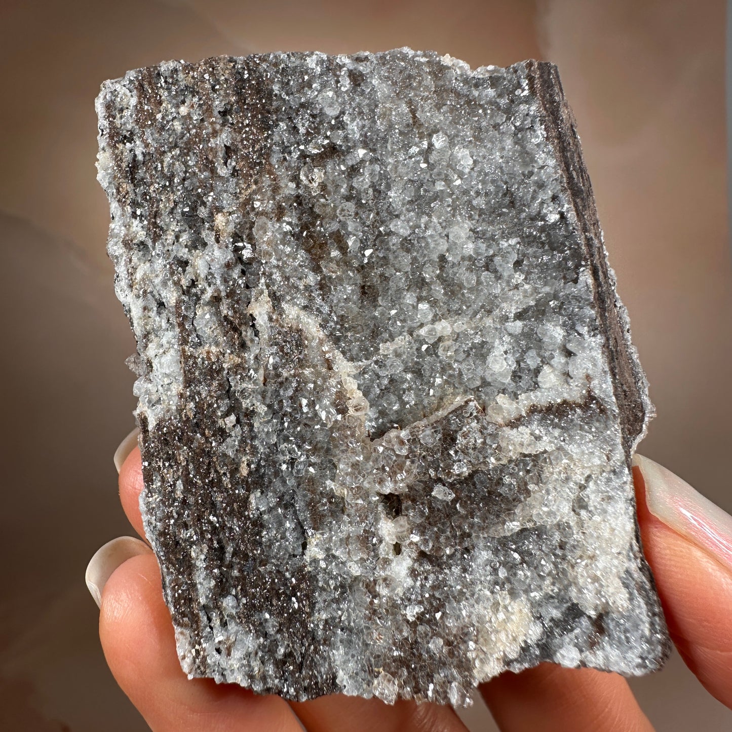 Crystallized Fossil Wood with Silver Smoky Quartz Druzy, 104g | Arizona