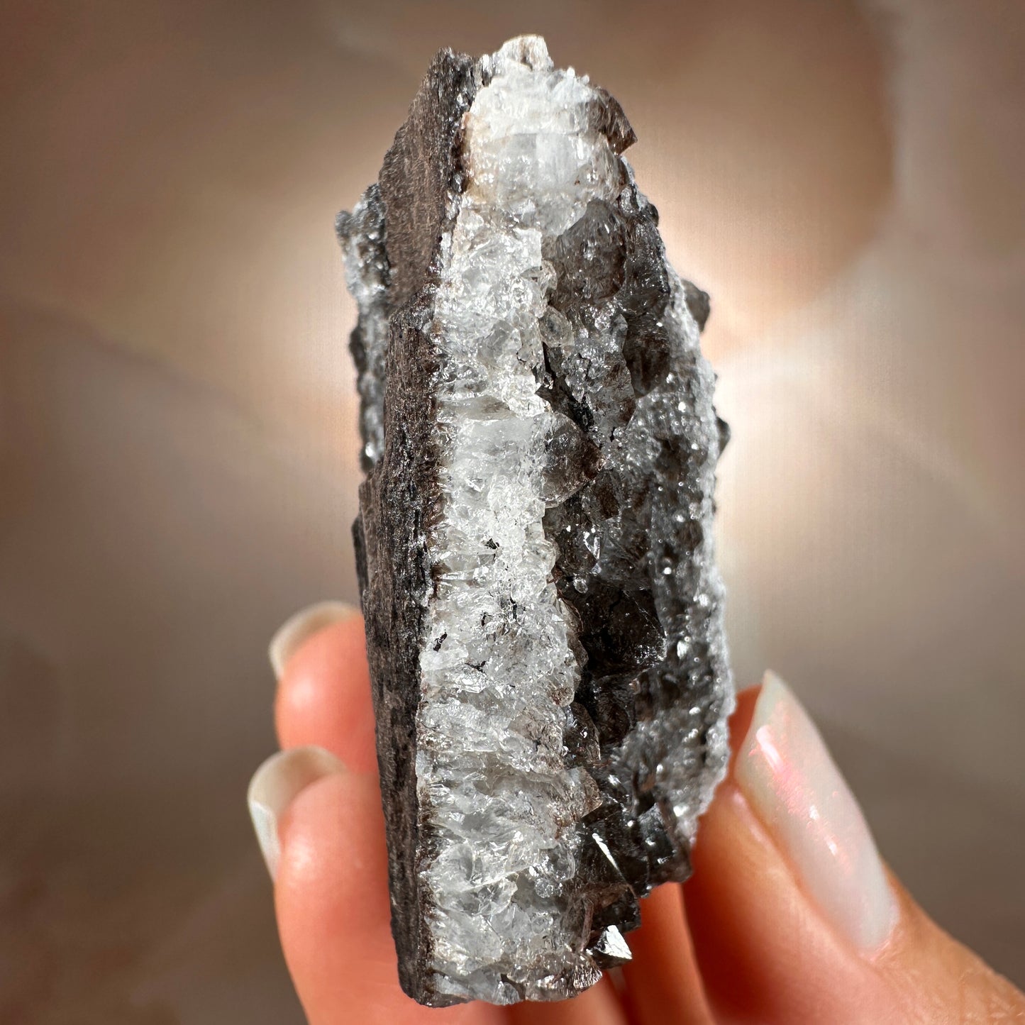 Crystallized Fossil Wood with Smoky Quartz Druzy, 42g | Arizona