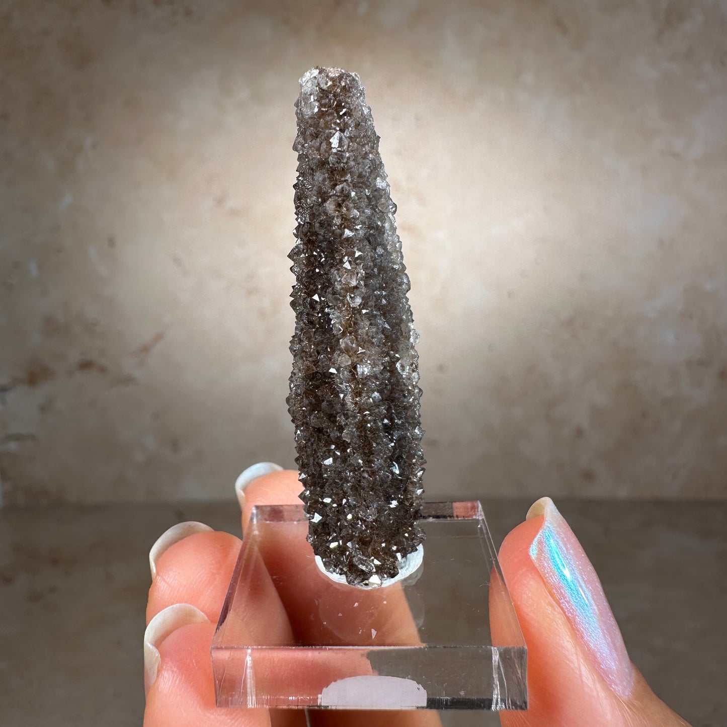 Crystallized Fossil Wood Termination with Smoky Quartz, 6.86g | Arizona