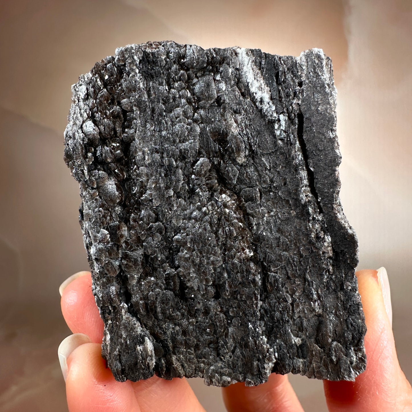 Crystallized Fossil Wood with Smoky Quartz Druzy, 185g | Arizona