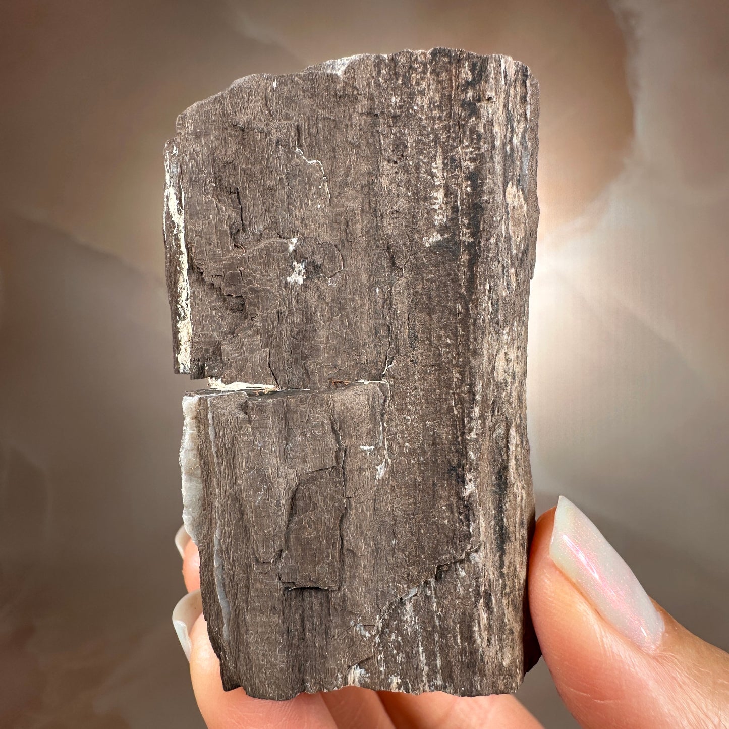 Crystallized Fossil Wood with Smoky Quartz Druzy, 102g | Arizona