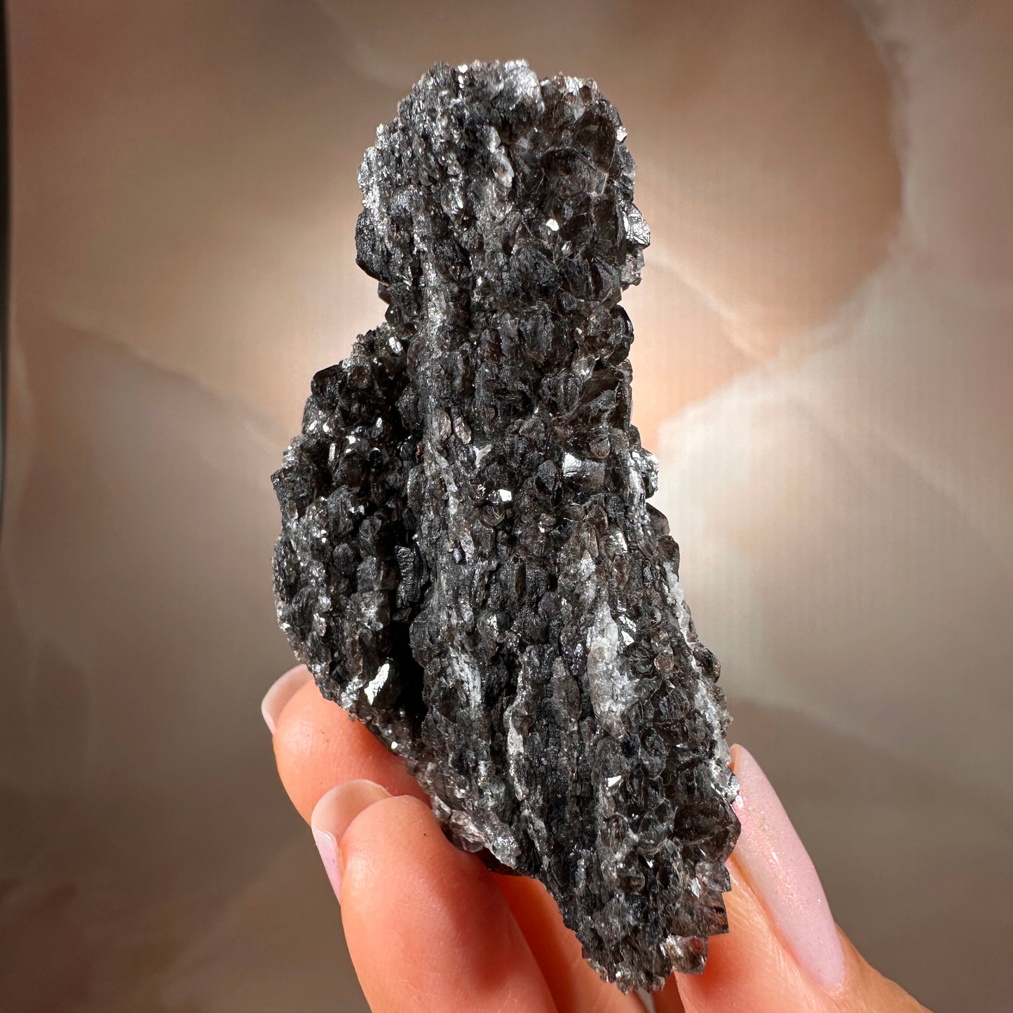 Crystallized Fossil Wood with Smoky Quartz Druzy, 50g — Arizona