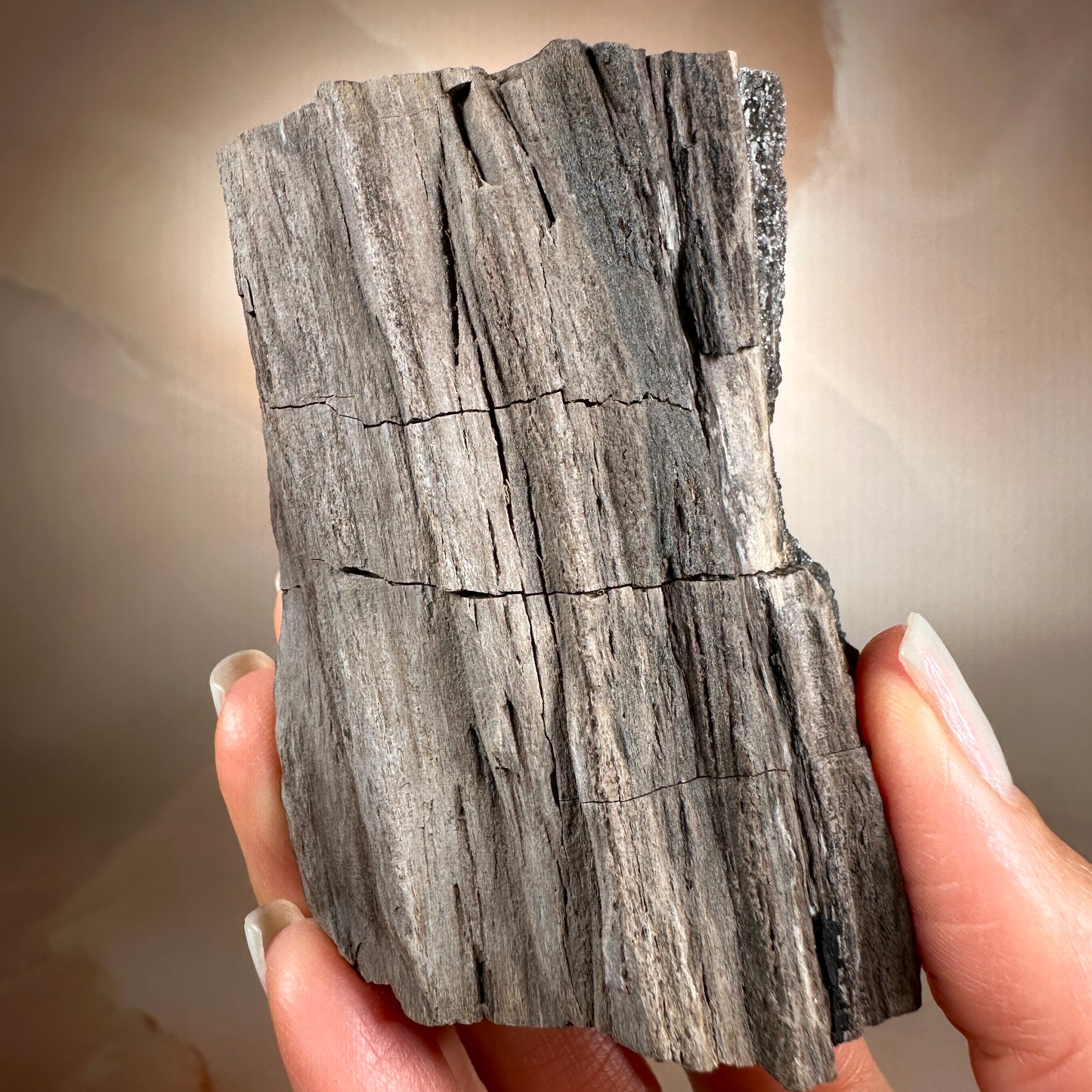 Crystallized Fossil Wood with Smoky Quartz Druzy, 177g | Arizona