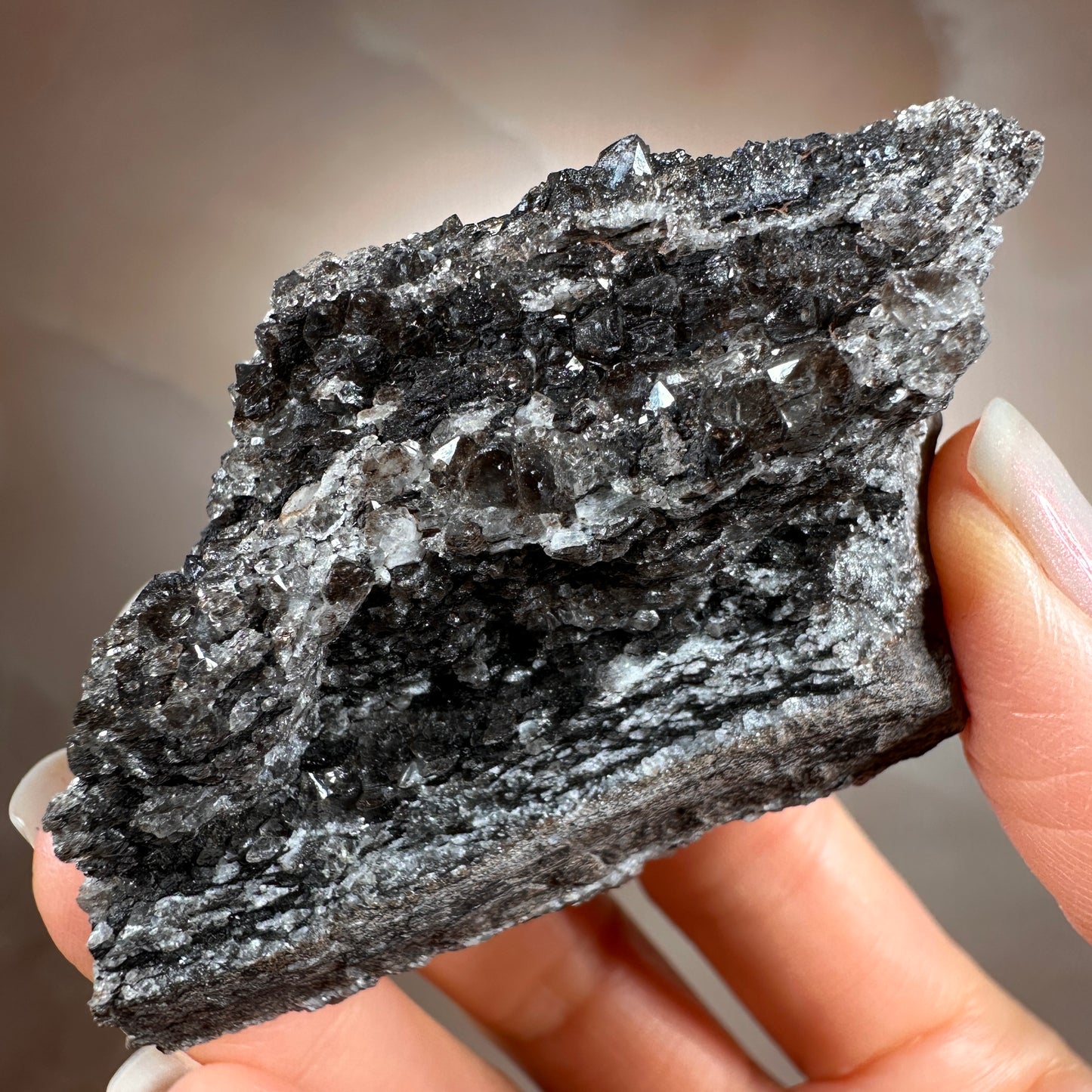 Crystallized Fossil Wood with Smoky Quartz Druzy, 85g | Arizona