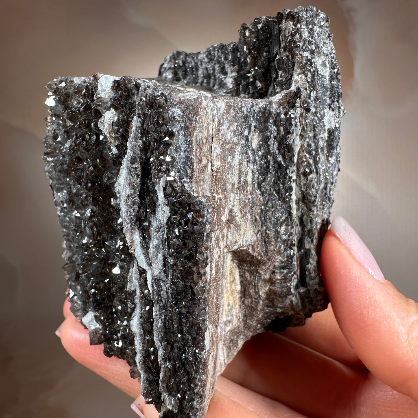 Crystallized Fossil Wood with Smoky Quartz Druzy, 383g — Arizona