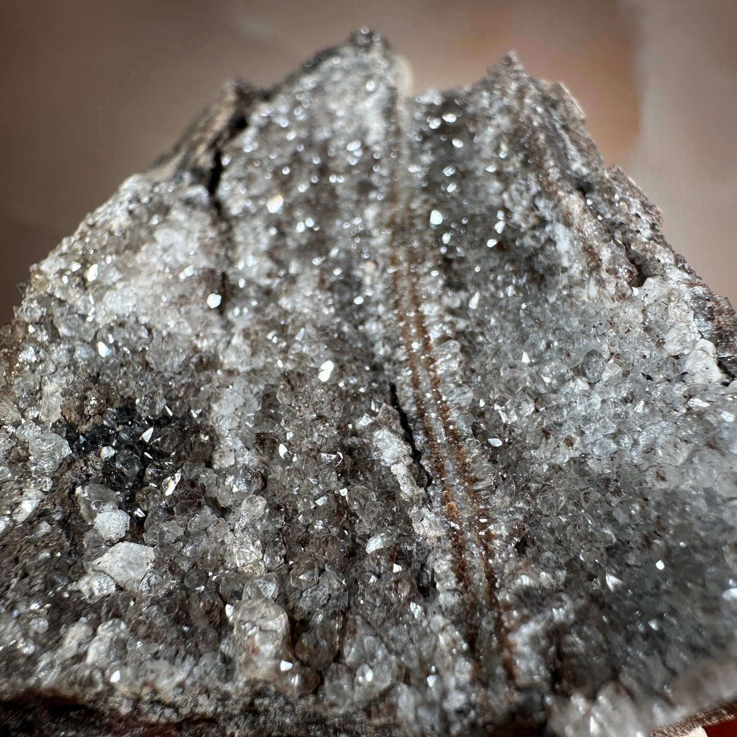 Crystallized Fossil Wood with Smoky Quartz Druzy, 335g | Arizona