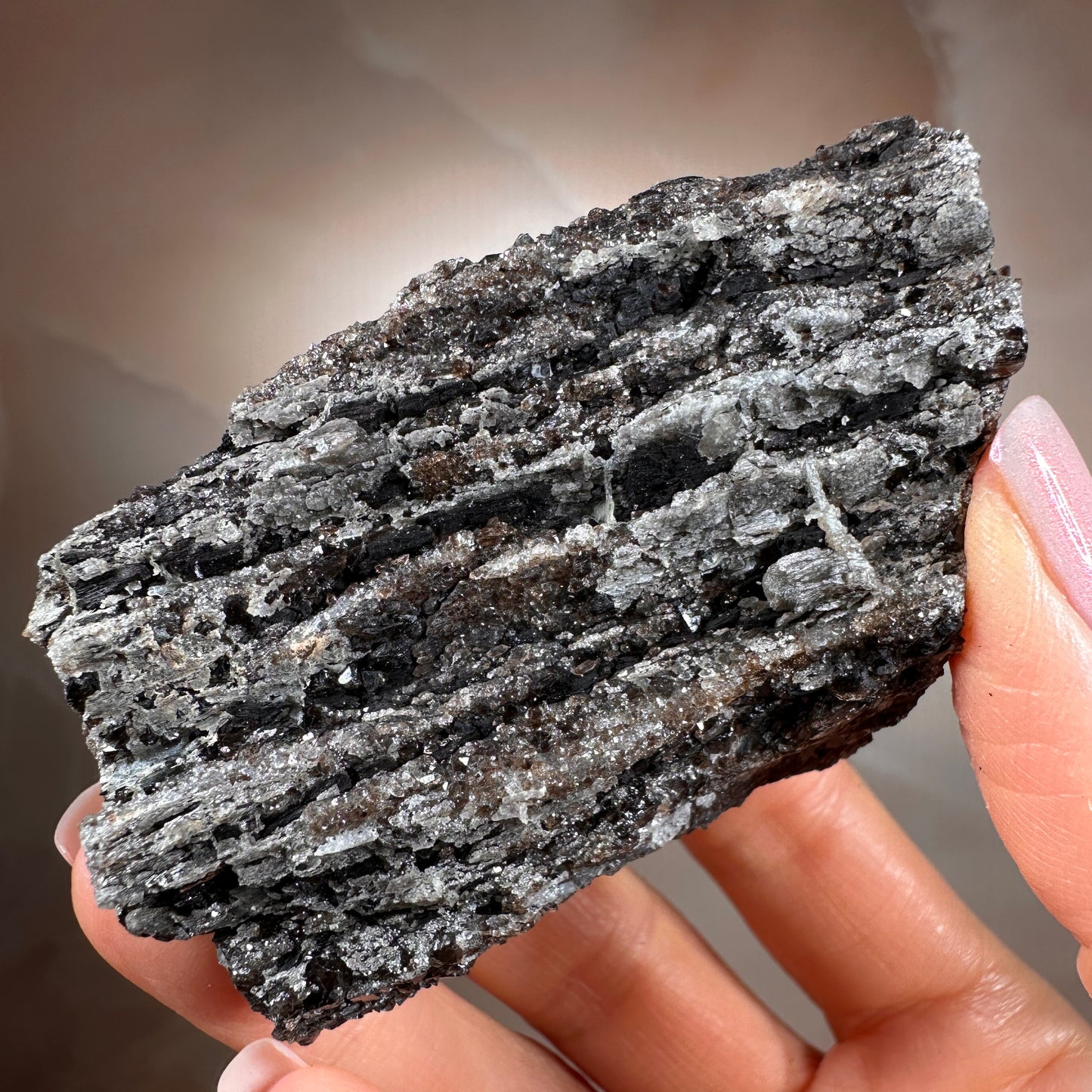 Crystallized Fossil Wood with Smoky Quartz Druzy, 117g — Arizona