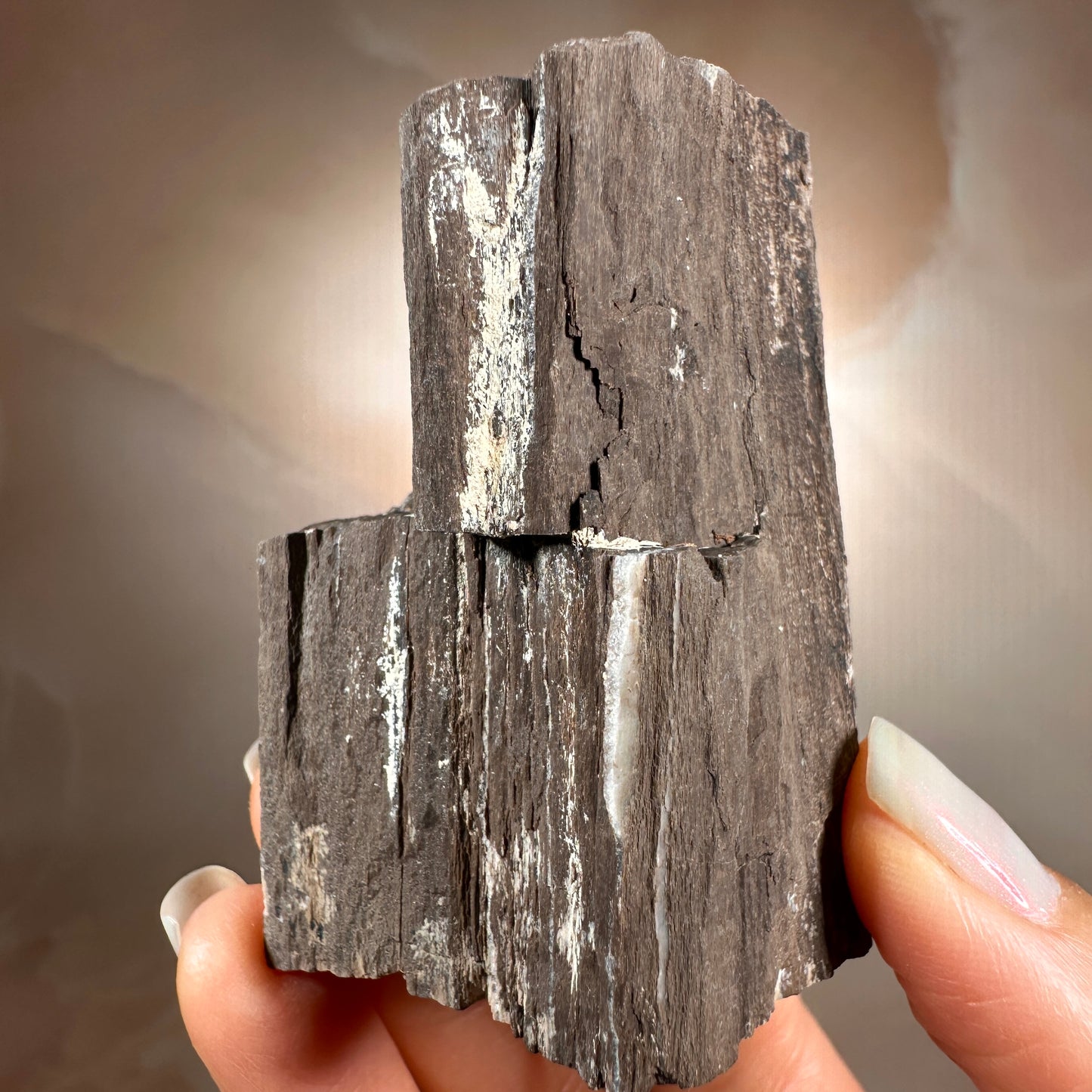 Crystallized Fossil Wood with Smoky Quartz Druzy, 102g | Arizona