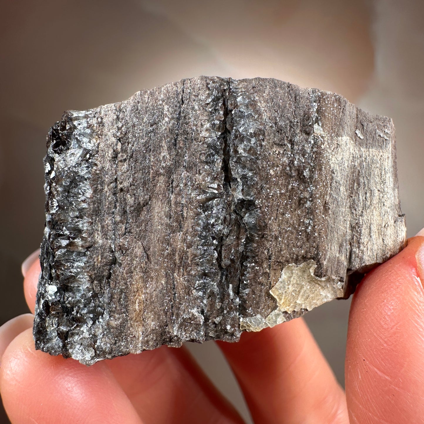 Crystallized Fossil Wood with Smoky Quartz Druzy, 44g — Arizona