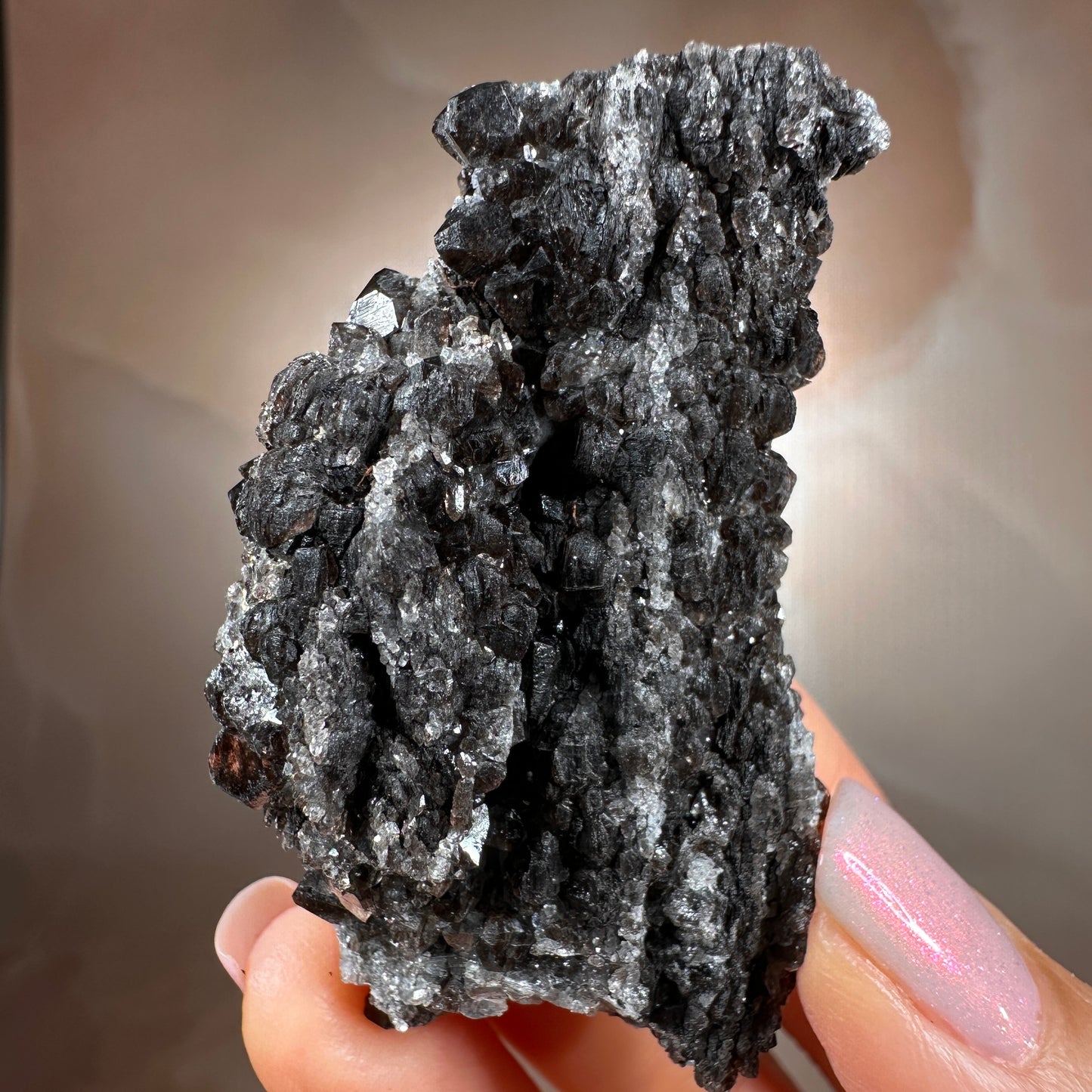 Crystallized Fossil Wood with Smoky Quartz Druzy, 50g — Arizona