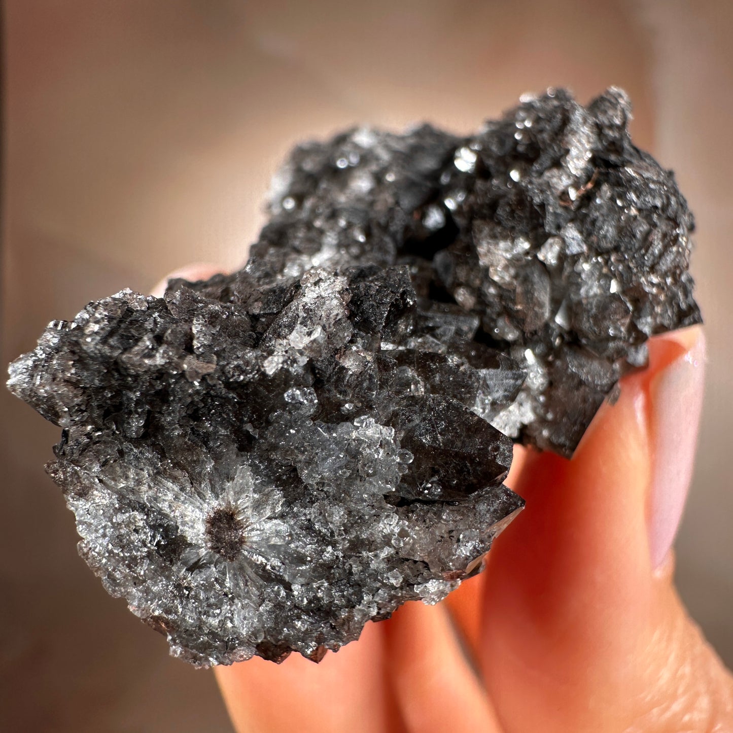 Crystallized Fossil Wood with Smoky Quartz Druzy, 50g — Arizona