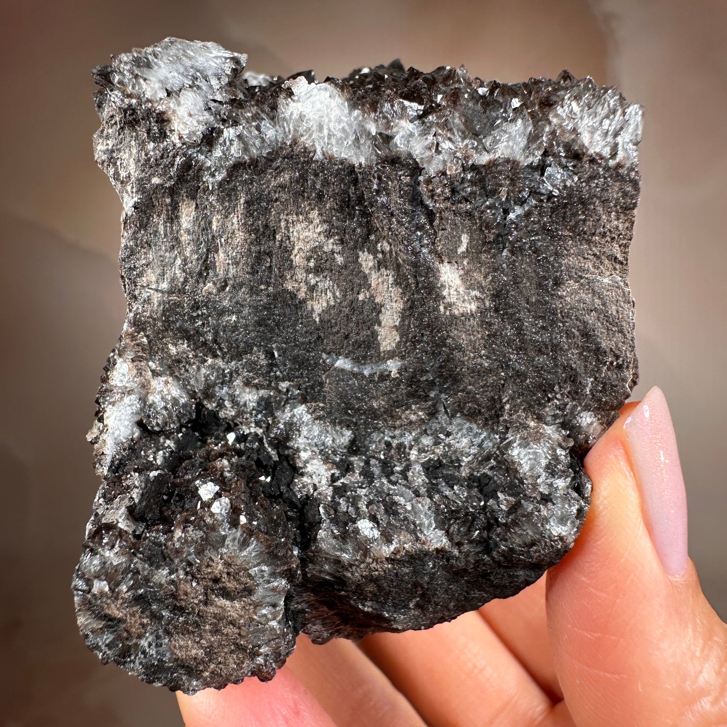 Crystallized Fossil Wood with Smoky Quartz Druzy, 383g — Arizona