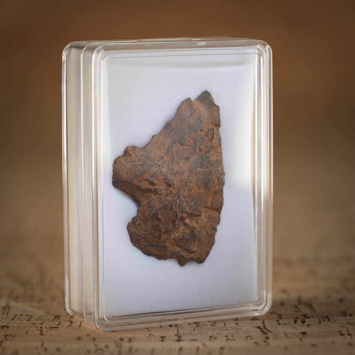 47g Gibeon Meteorite with Desert Patina, Namibia, Africa. Includes Collectors Display Box with COA.