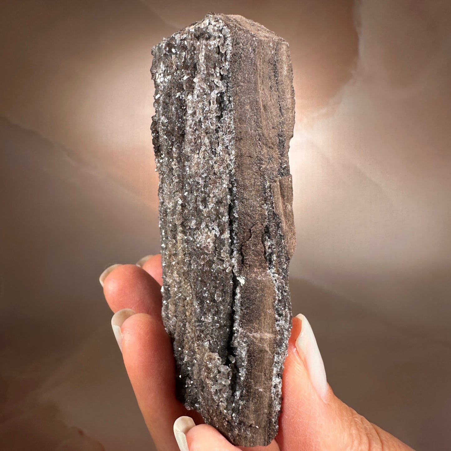 Crystallized Fossil Wood with Smoky Quartz Druzy, 115g | Arizona