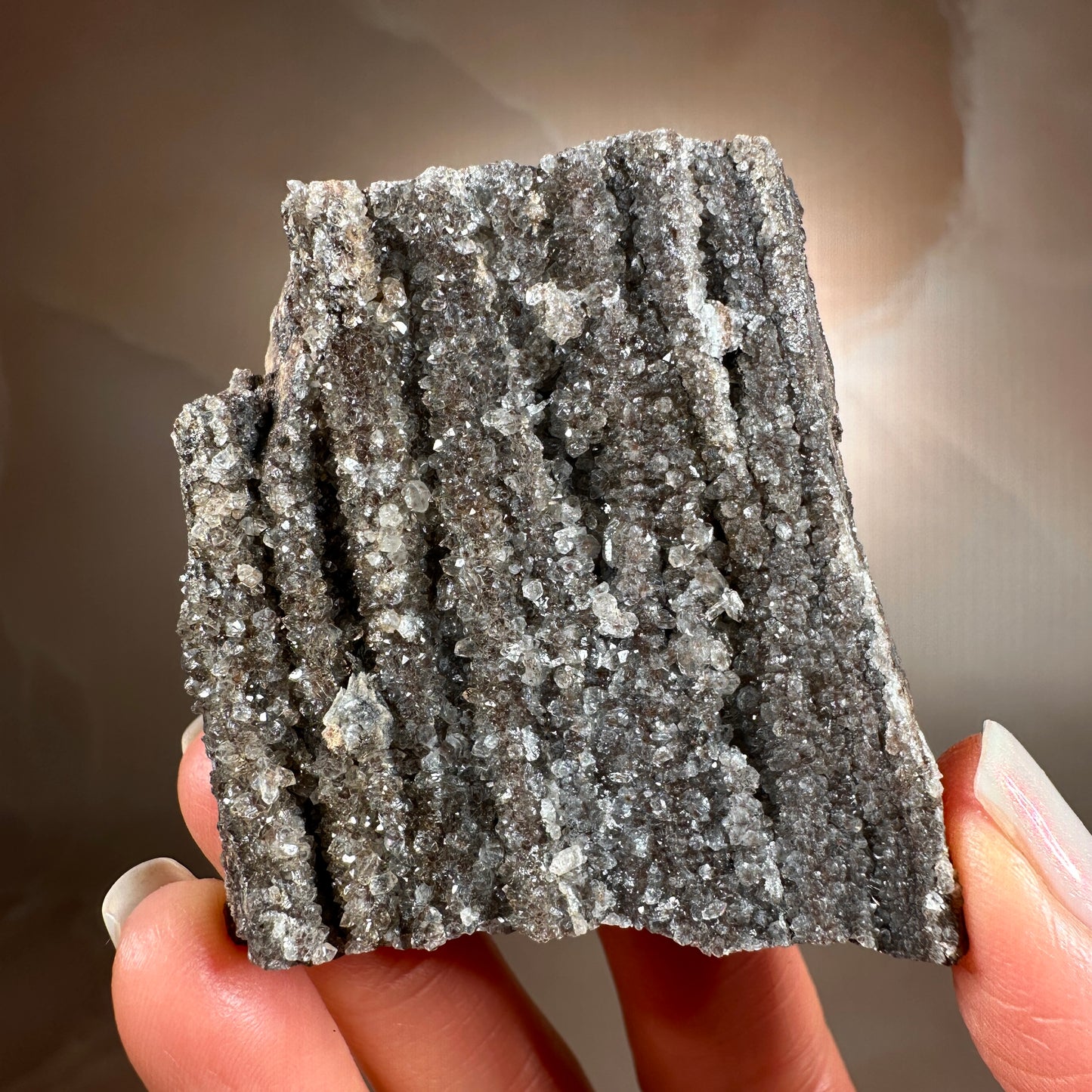 Crystallized Fossil Wood with Smoky Quartz Druzy, 86g | Arizona