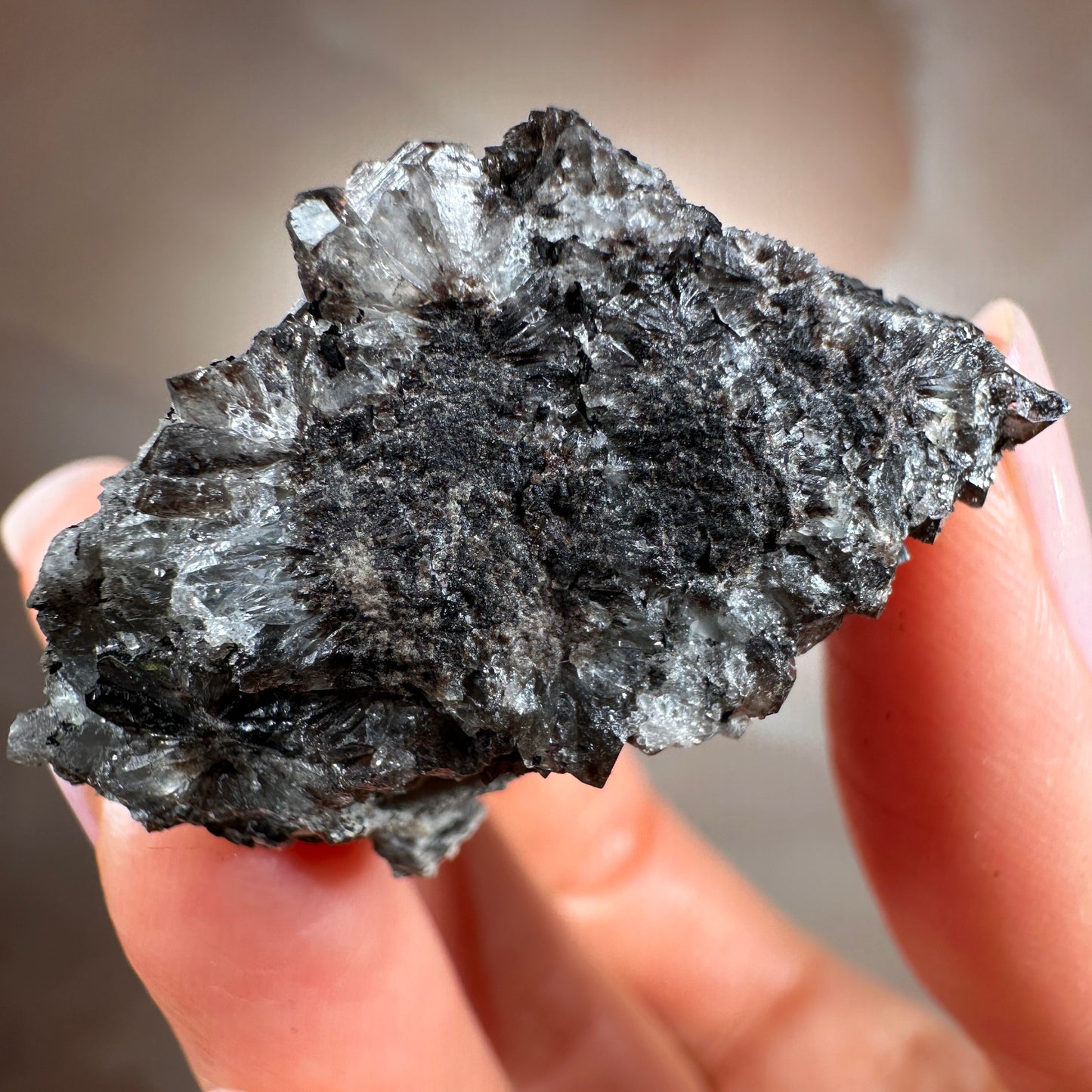 Crystallized Fossil Wood with Smoky Quartz Druzy, 59g — Arizona