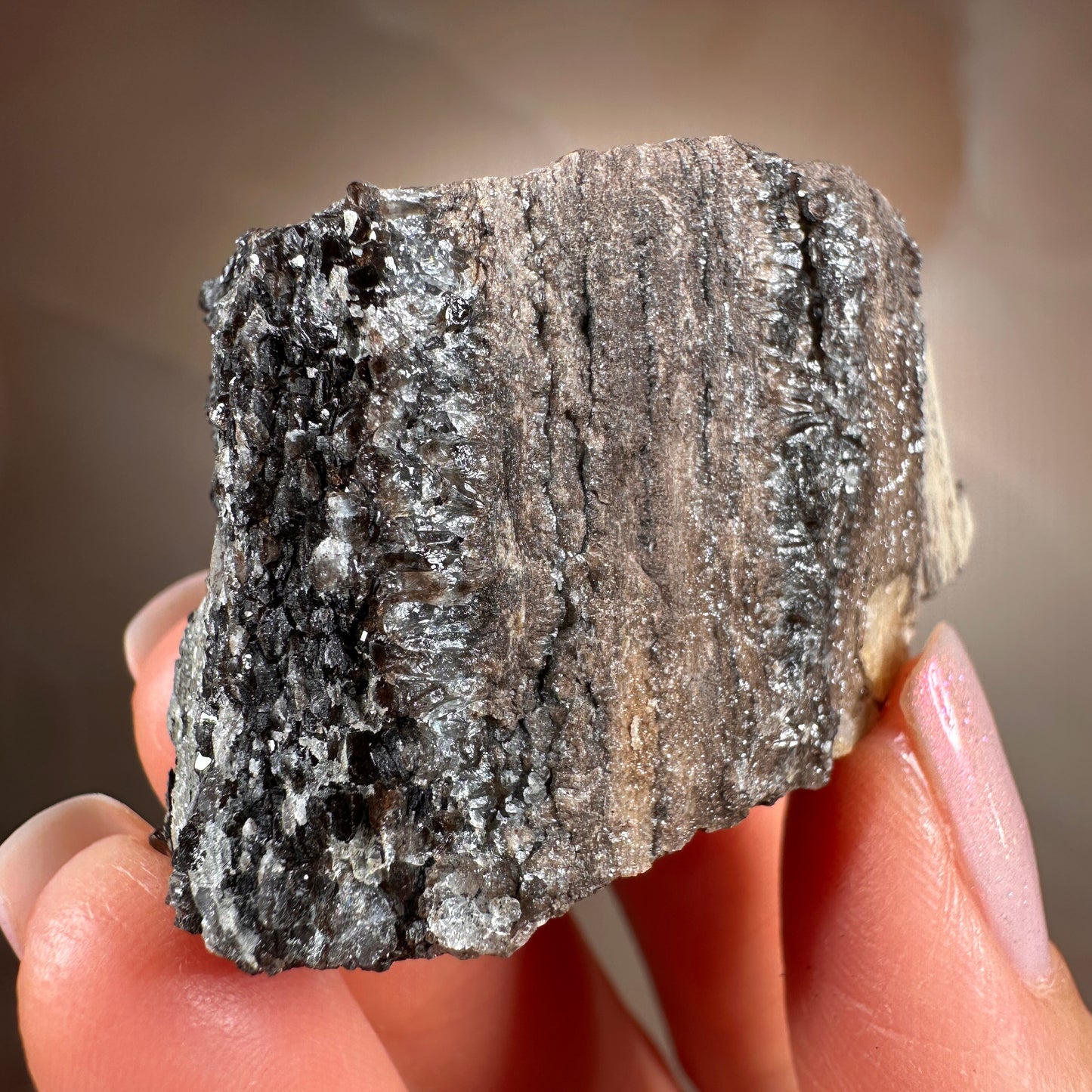 Crystallized Fossil Wood with Smoky Quartz Druzy, 44g — Arizona