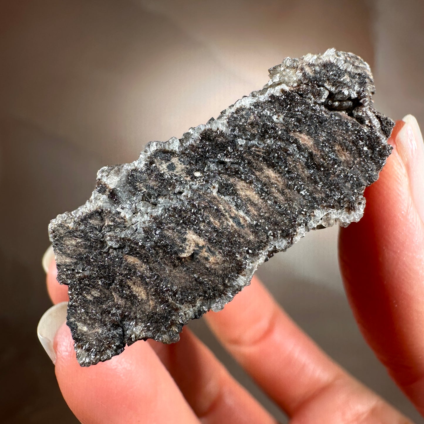 Crystallized Fossil Wood with Smoky Quartz Druzy, 86g | Arizona