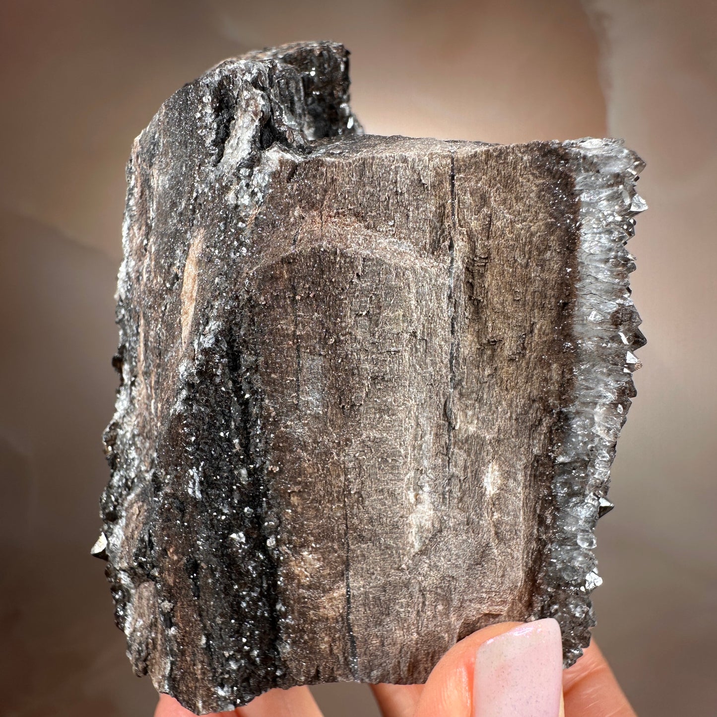 Crystallized Fossil Wood with Smoky Quartz Druzy, 383g — Arizona