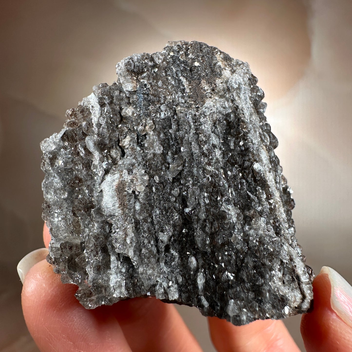 Crystallized Fossil Wood with Smoky Quartz Druzy, 65g | Arizona