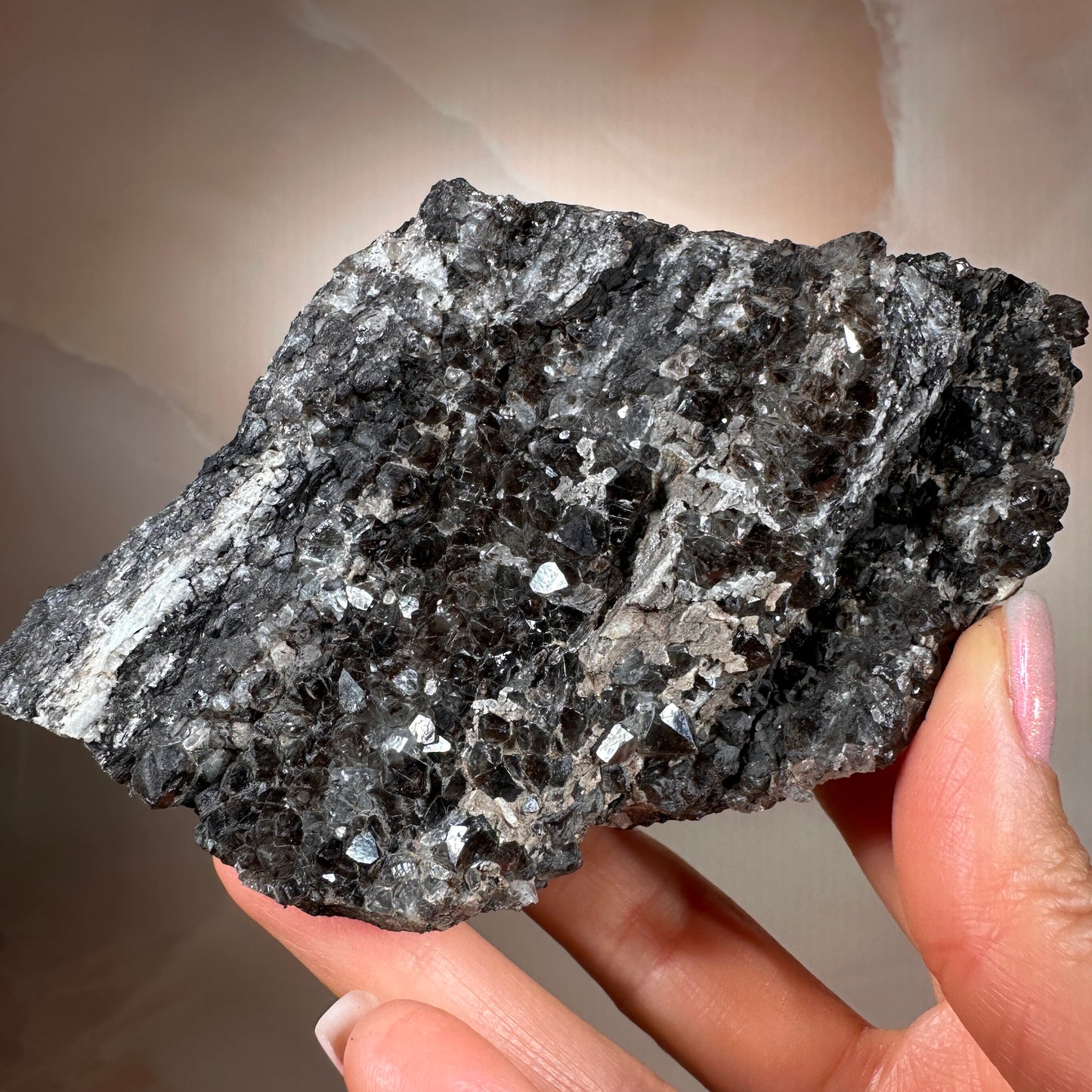 Crystallized Fossil Wood with Smoky Quartz Druzy, 347g — Arizona